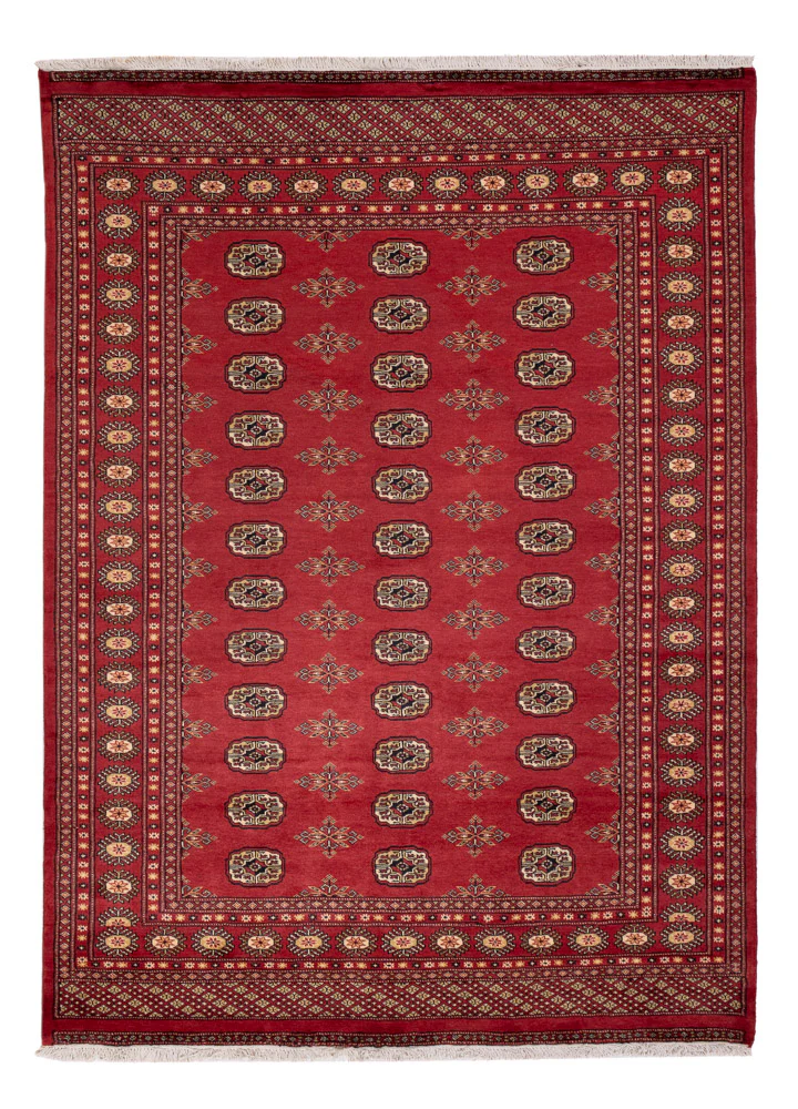 Pakistan Teppich 241x173cm - Orientteppich
