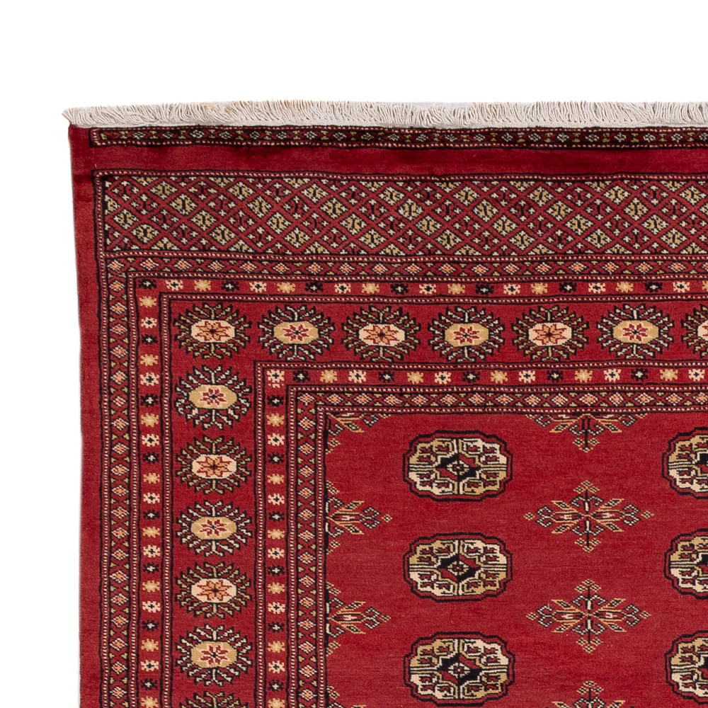 Pakistan Teppich 241x173cm - Orientteppich - Image 3