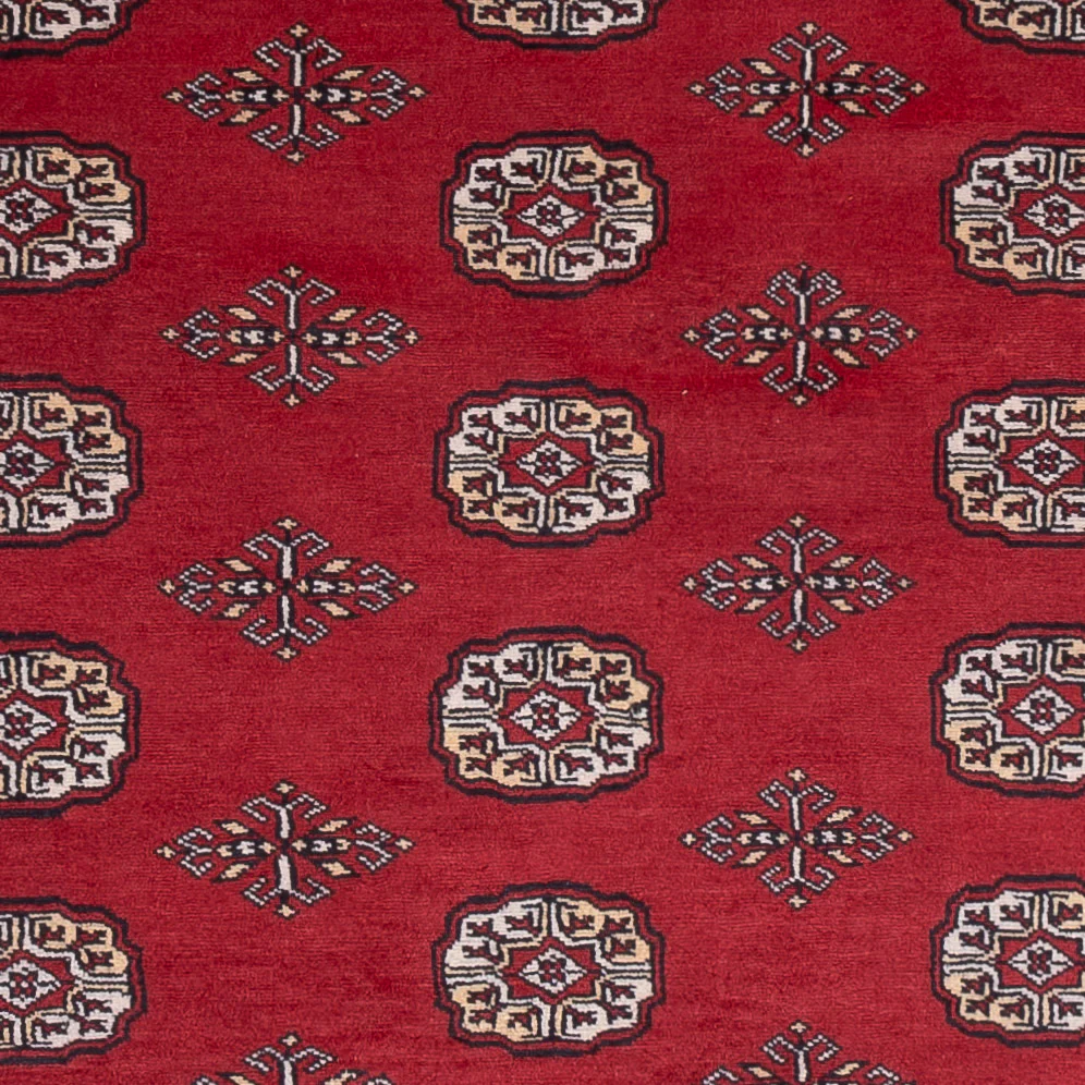 Pakistan Teppich 249x167cm - Orientteppich - Image 2