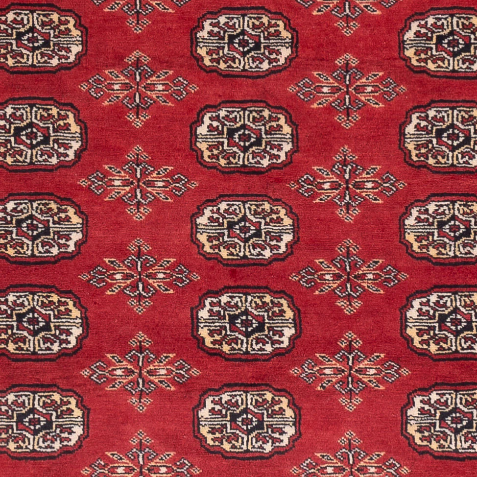 Pakistan Teppich 250x159cm - Orientteppich - Image 2