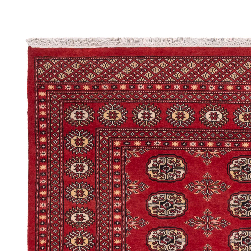 Pakistan Teppich 250x159cm - Orientteppich - Image 3
