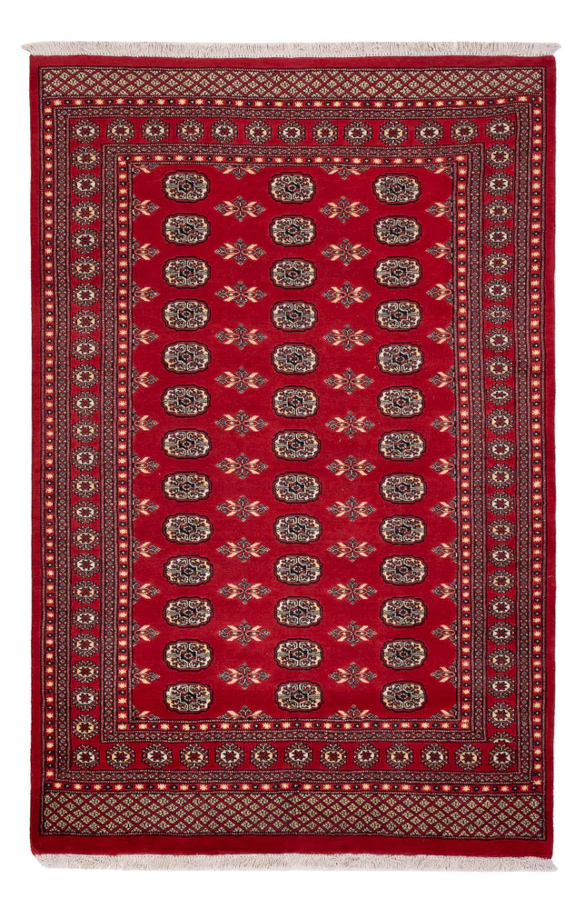 Pakistan Teppich 258x179cm - Orientteppich