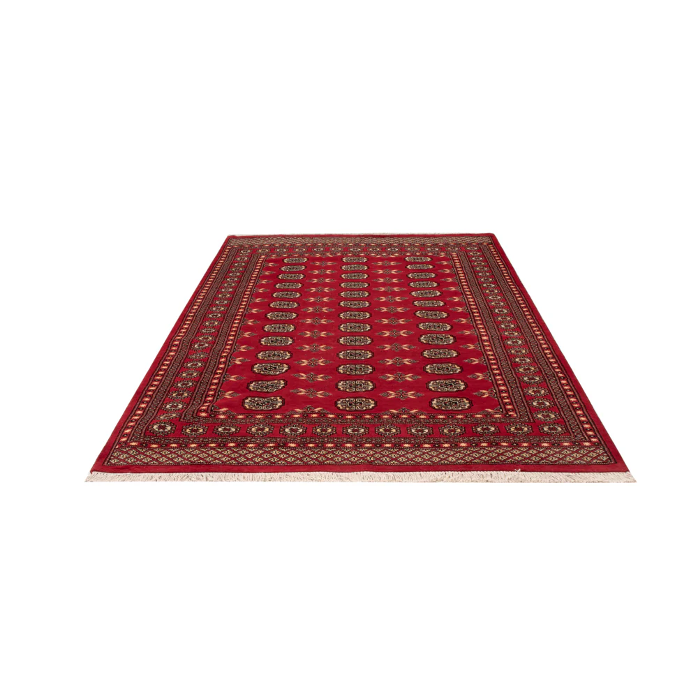 Pakistan Teppich 258x179cm - Orientteppich - Image 5