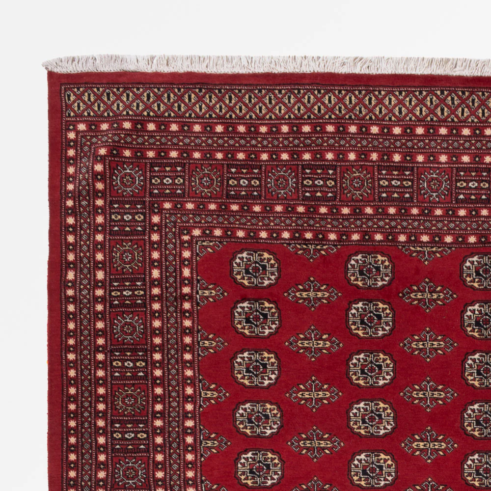 Pakistan Teppich 318x248cm - Orientteppich - Image 3