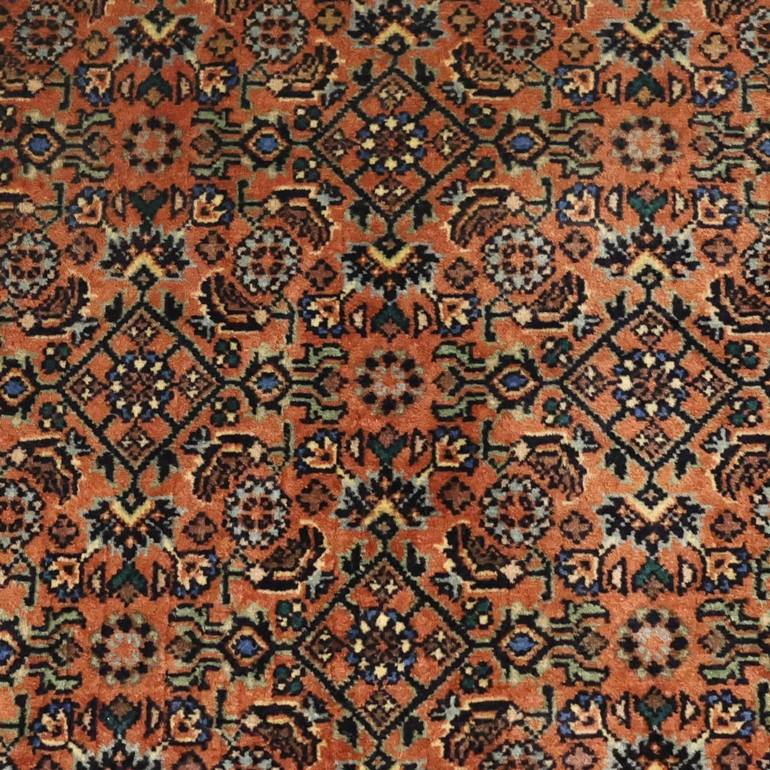 Bidjar Teppich 144x71cm - Perserteppich - Image 2
