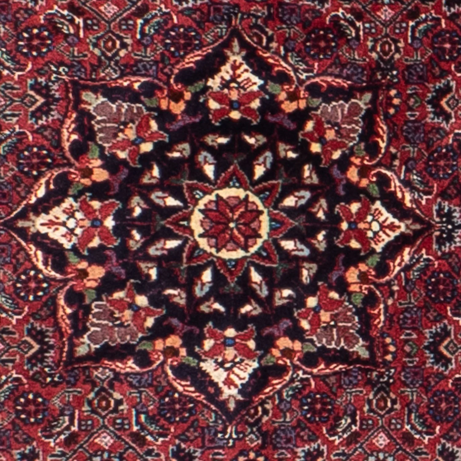Bidjar Teppich 150x150cm - Perserteppich - Image 2
