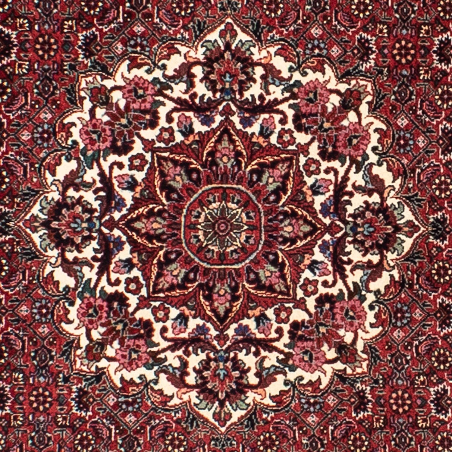 Bidjar Teppich 150x150cm - Perserteppich - Image 2