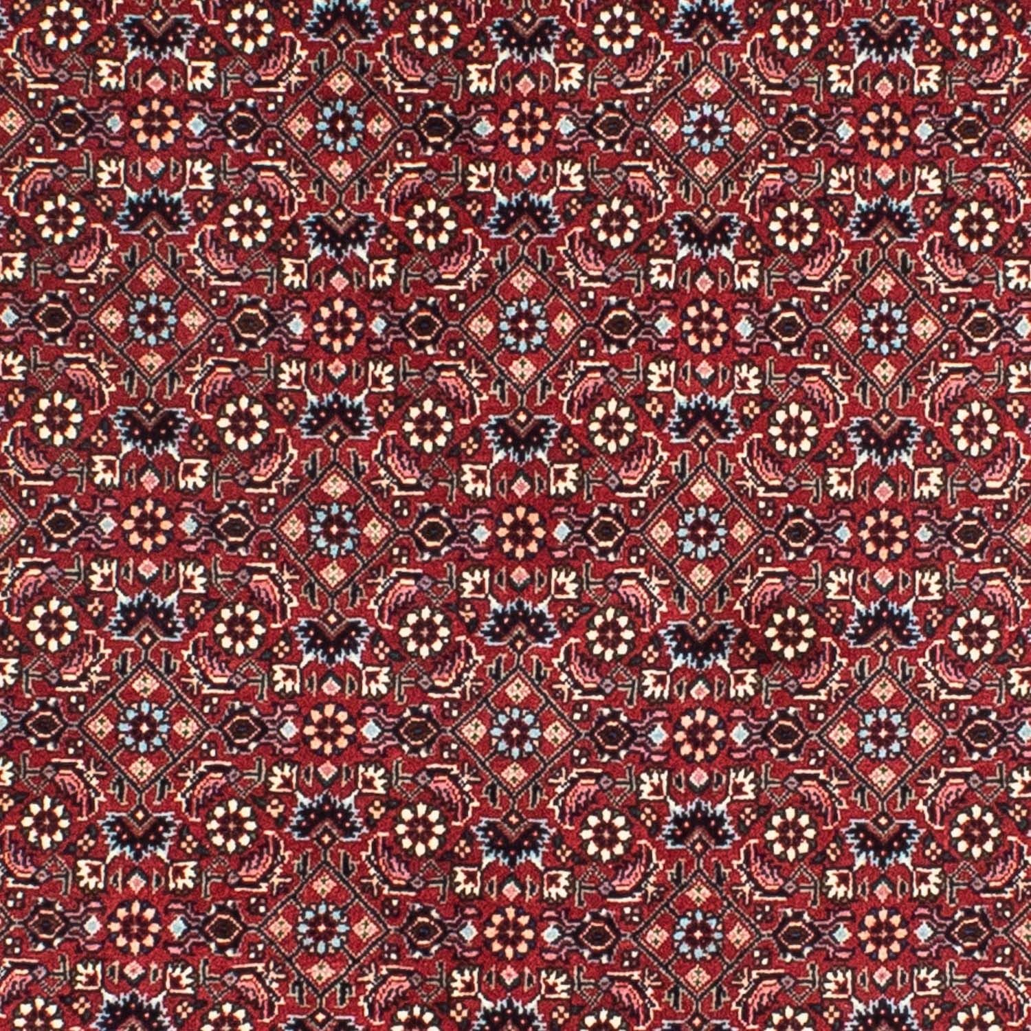 Bidjar Teppich 155x155cm - Perserteppich - Image 2