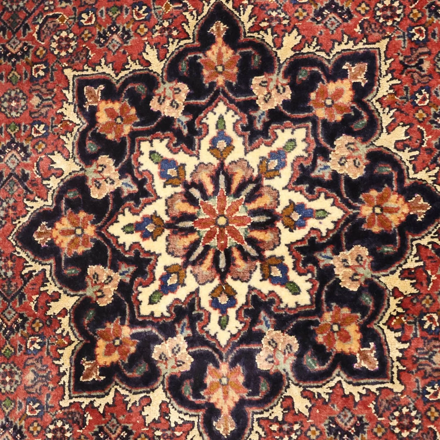 Bidjar Teppich 159x91cm - Perserteppich - Image 2