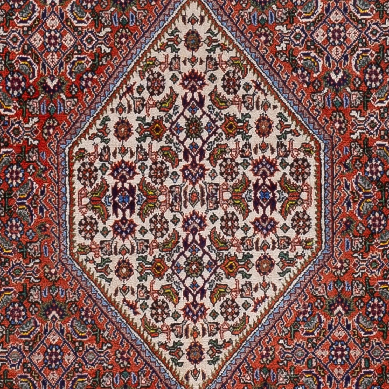 Bidjar Teppich 166x112cm - Perserteppich - Image 2
