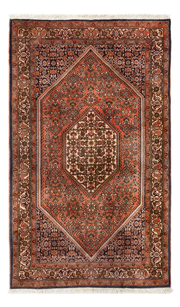 Bidjar Teppich 170x105cm - Perserteppich