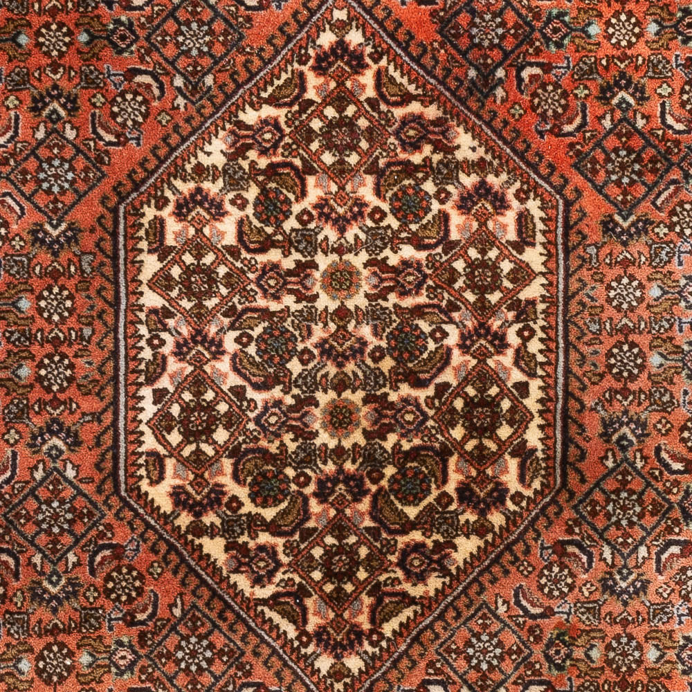 Bidjar Teppich 170x105cm - Perserteppich - Image 2