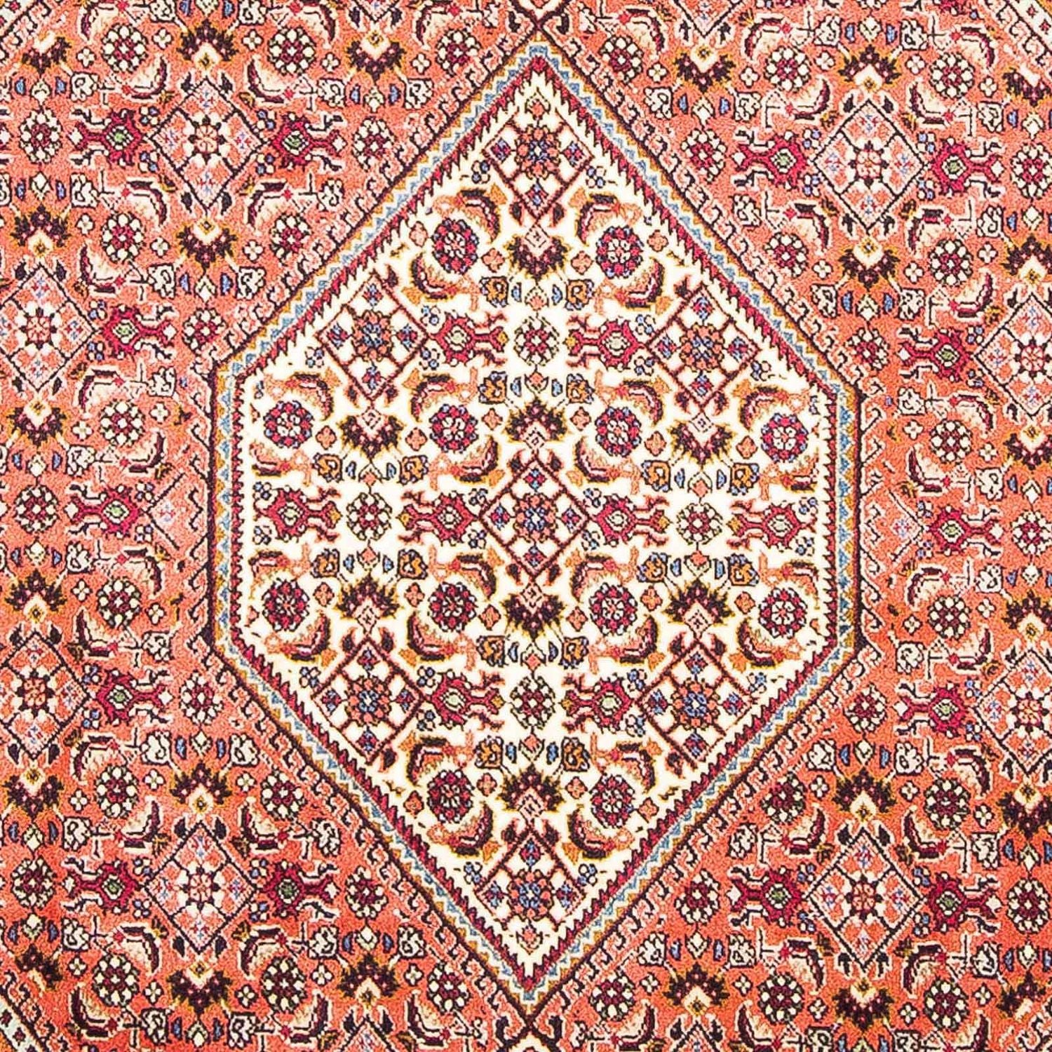 Perserteppich - Bidjar 170 x 112 cm - hellrot - Image 2