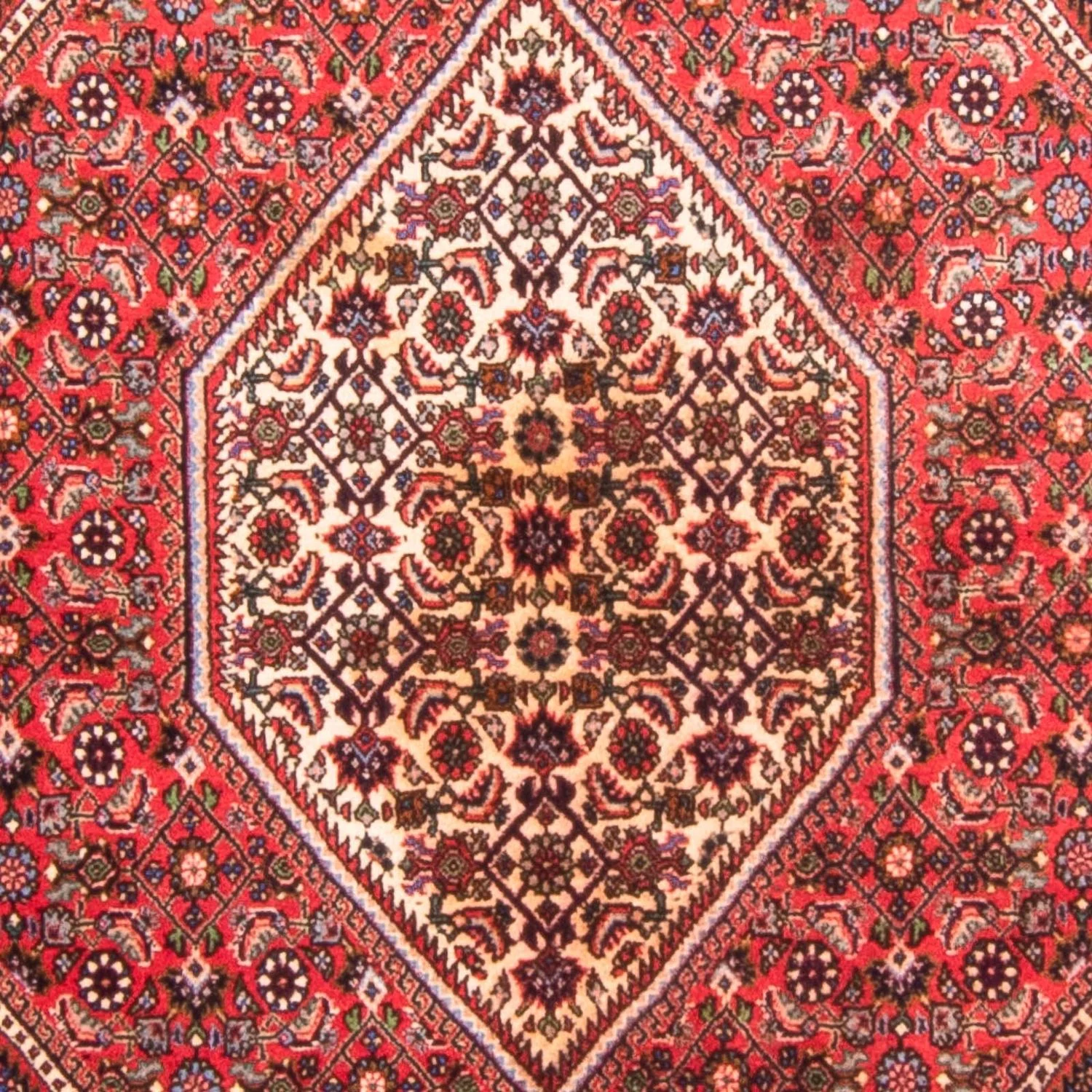 Perserteppich - Bidjar - 170 x 114 cm - rot - Image 2