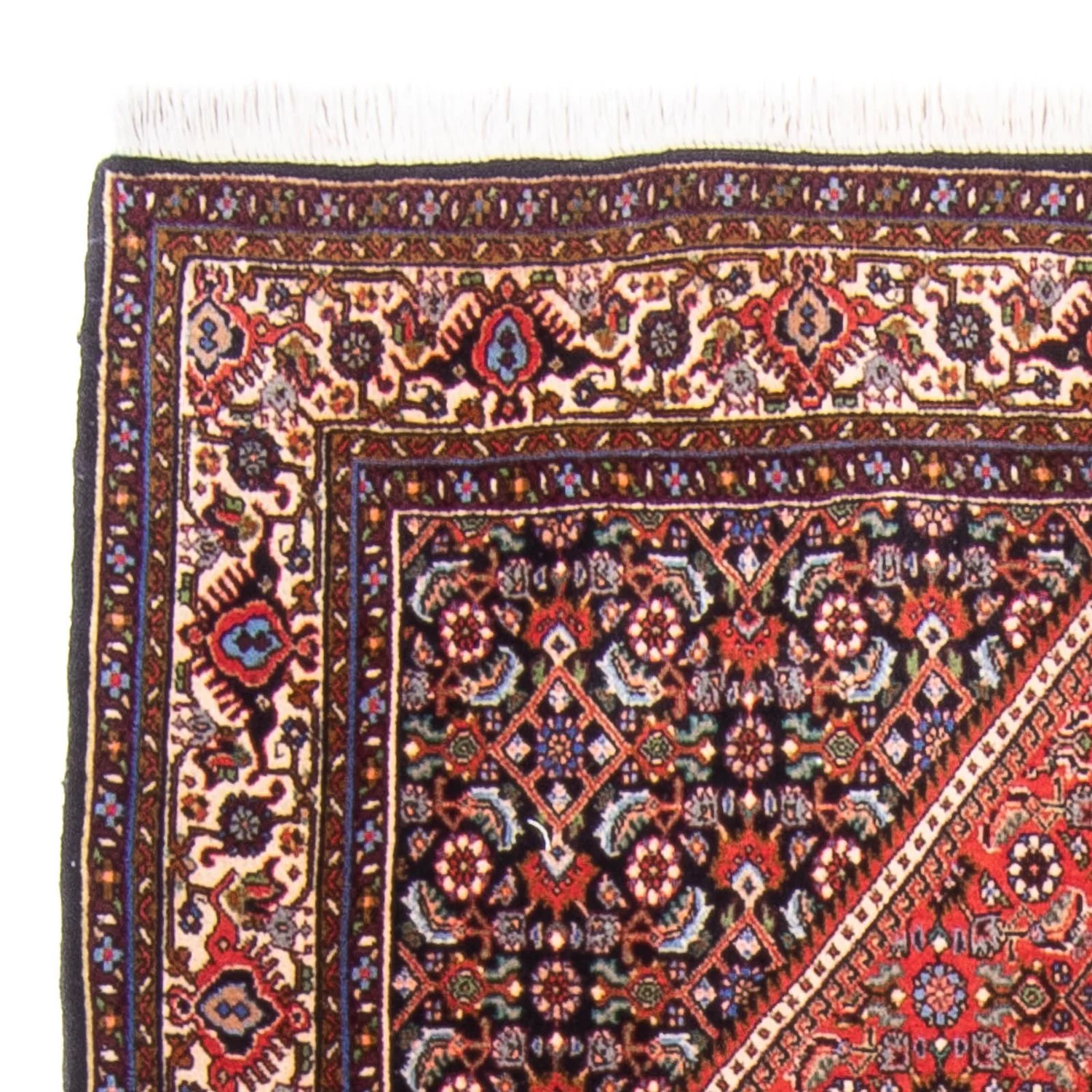 Perserteppich - Bidjar - 170 x 114 cm - rot - Image 3