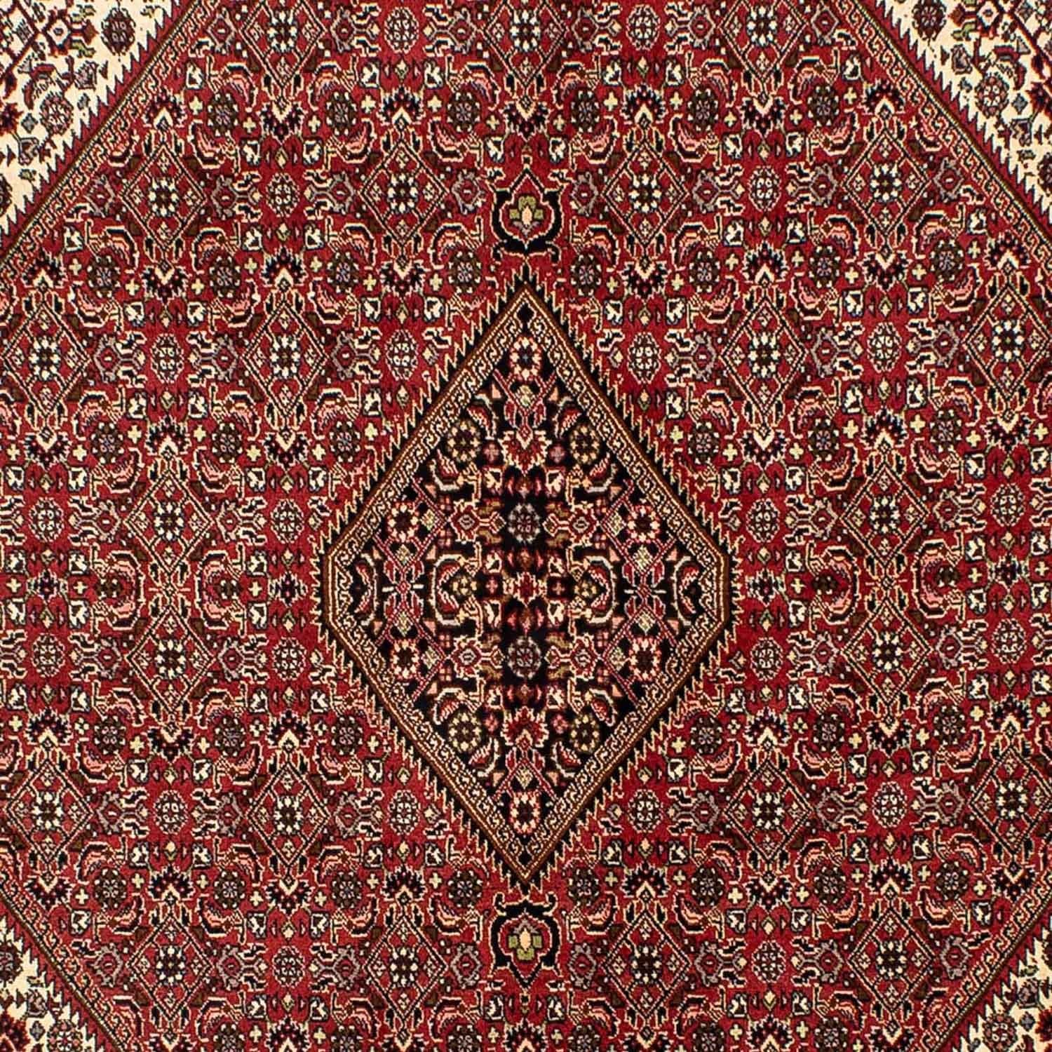 Bidjar Teppich 242x171cm - Perserteppich - Image 2