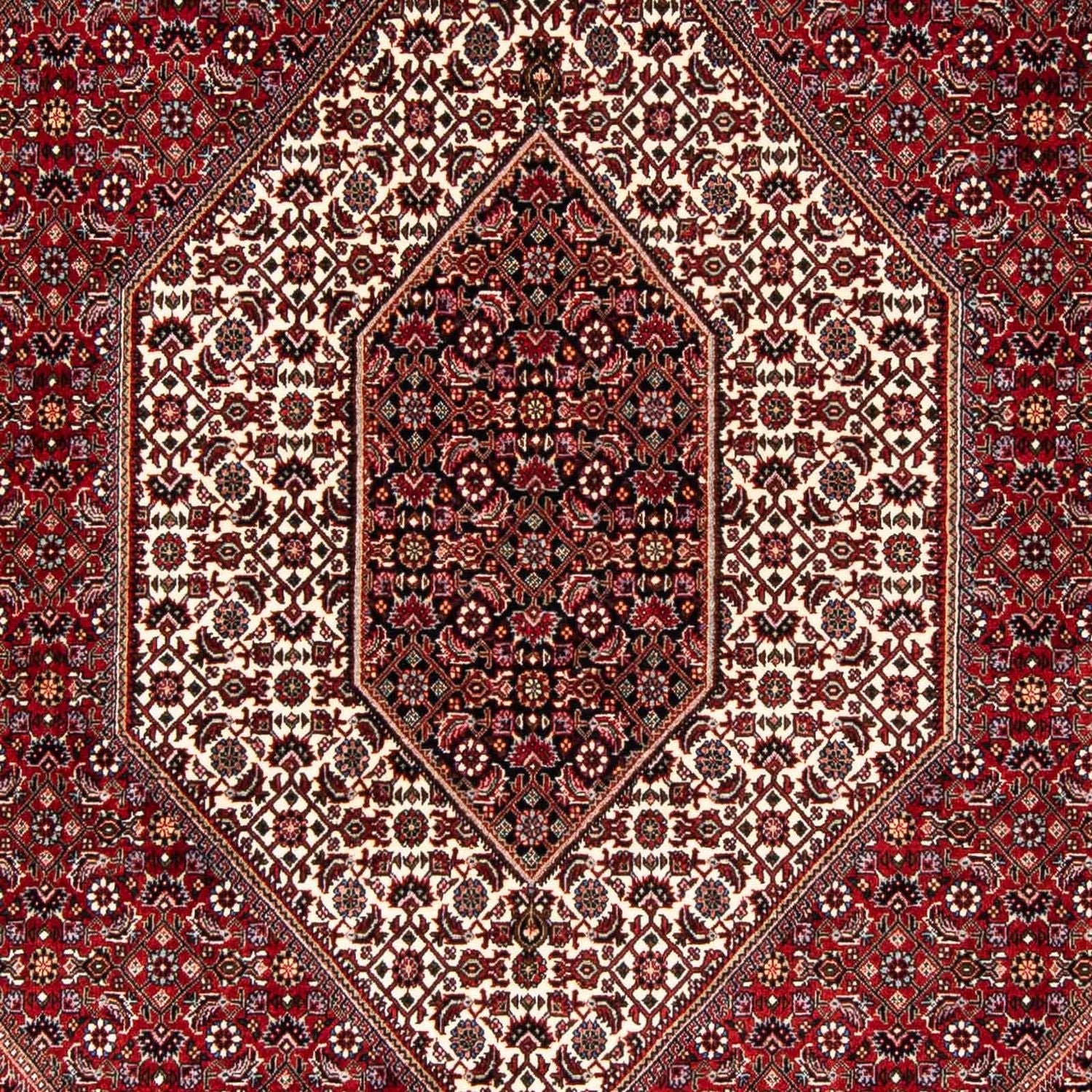 Bidjar Teppich 243x167cm - Perserteppich - Image 2