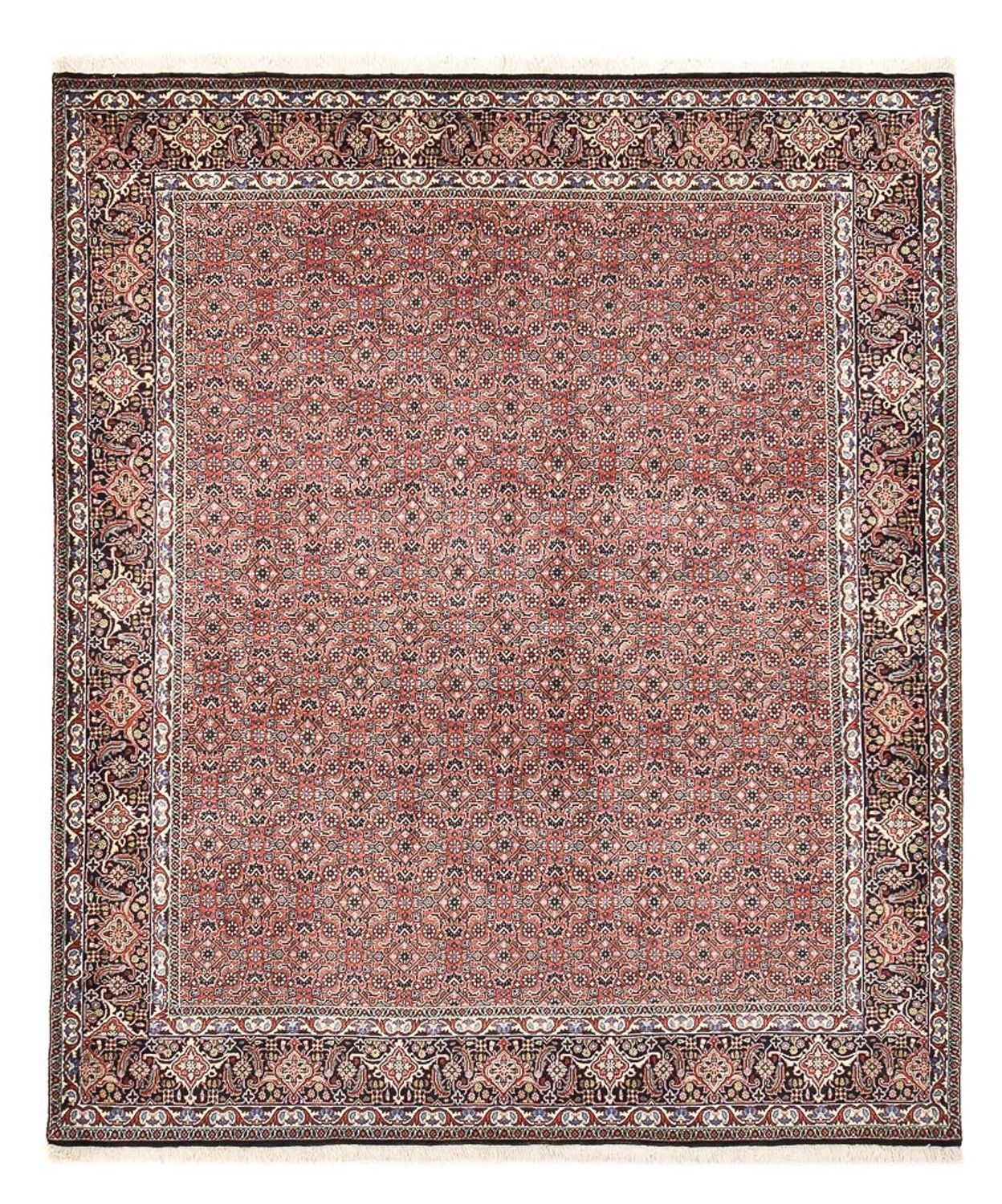 Bidjar Teppich 244x204cm - Perserteppich