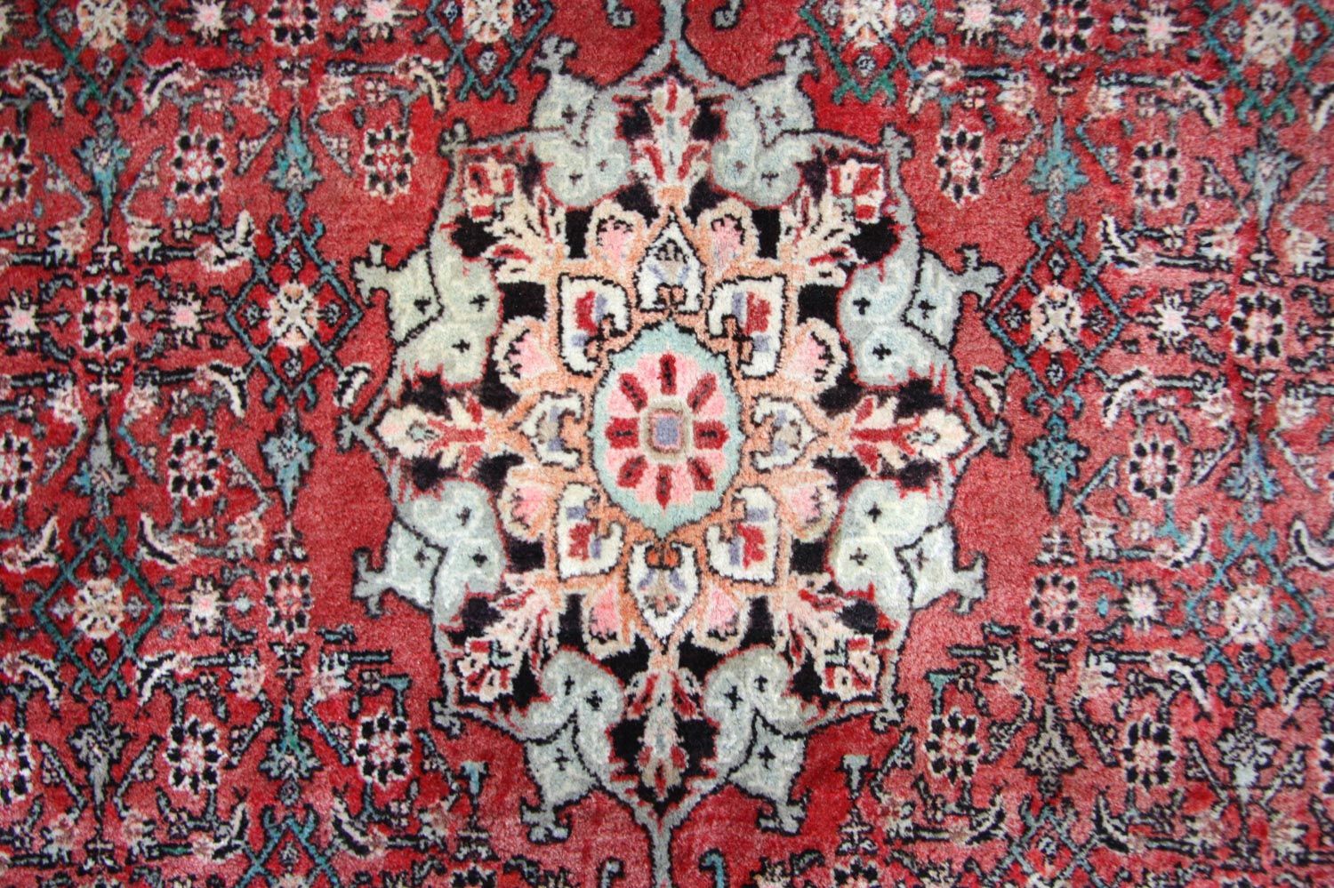 Perserteppich - Bidjar 245 x 144 cm - braun - Image 2