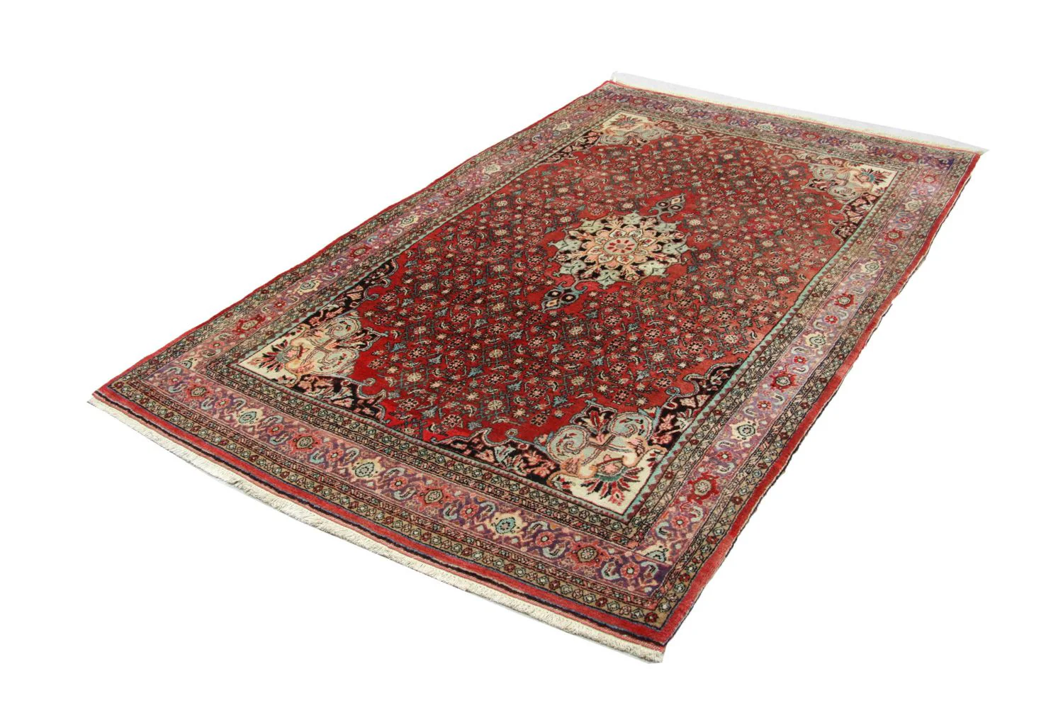 Perserteppich - Bidjar 245 x 144 cm - braun - Image 4