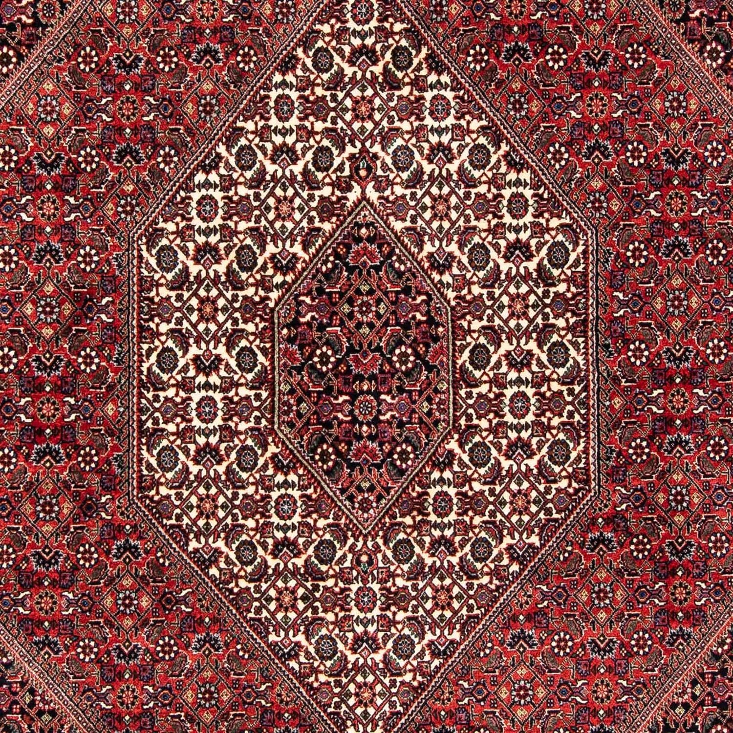 Bidjar Teppich 245x167cm - Perserteppich - Image 2