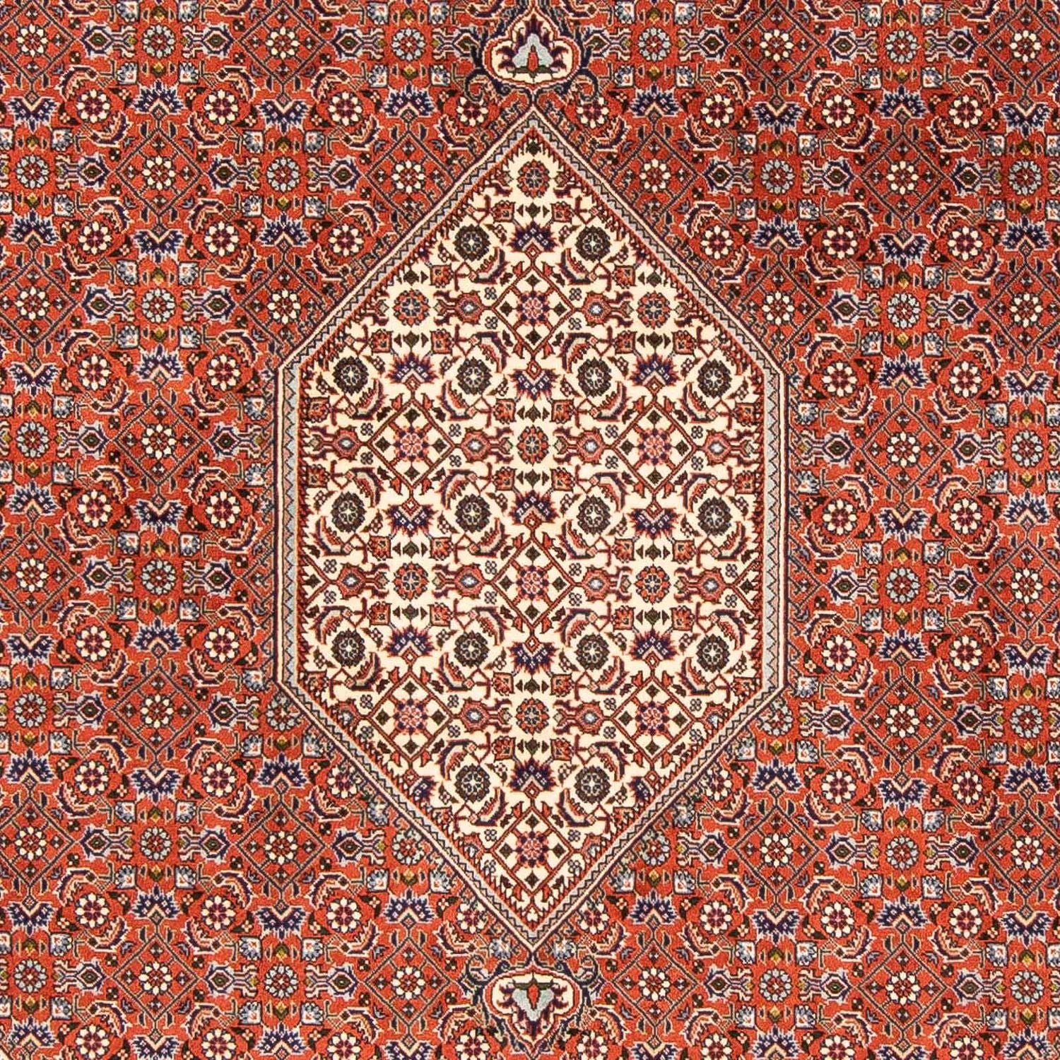 Bidjar Teppich 245x167cm - Perserteppich - Image 2