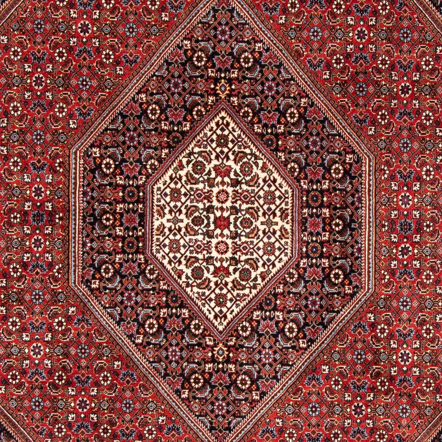 Bidjar Teppich 246x170cm - Perserteppich - Image 2