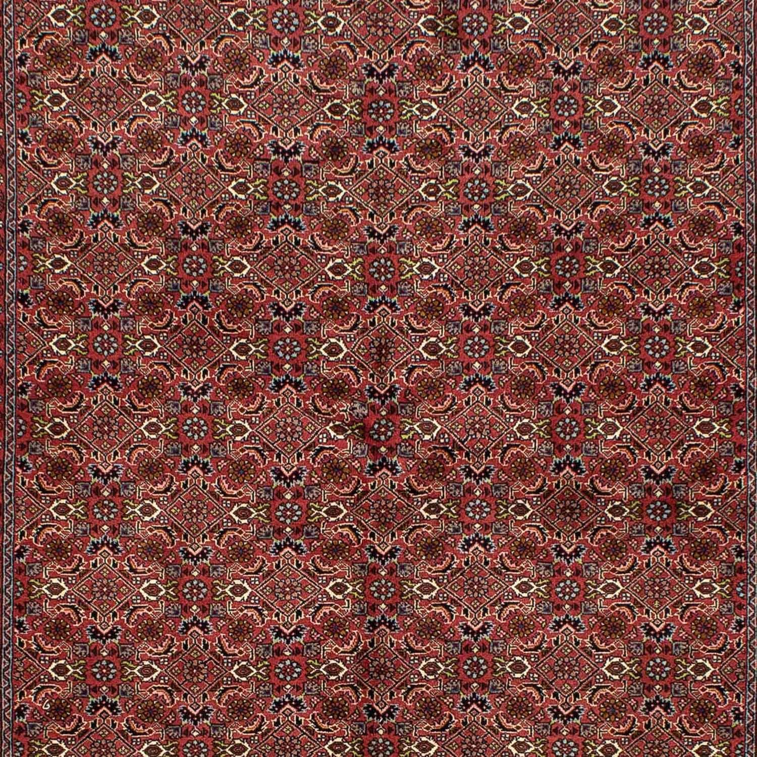 Bidjar Teppich 246x170cm - Perserteppich - Image 2