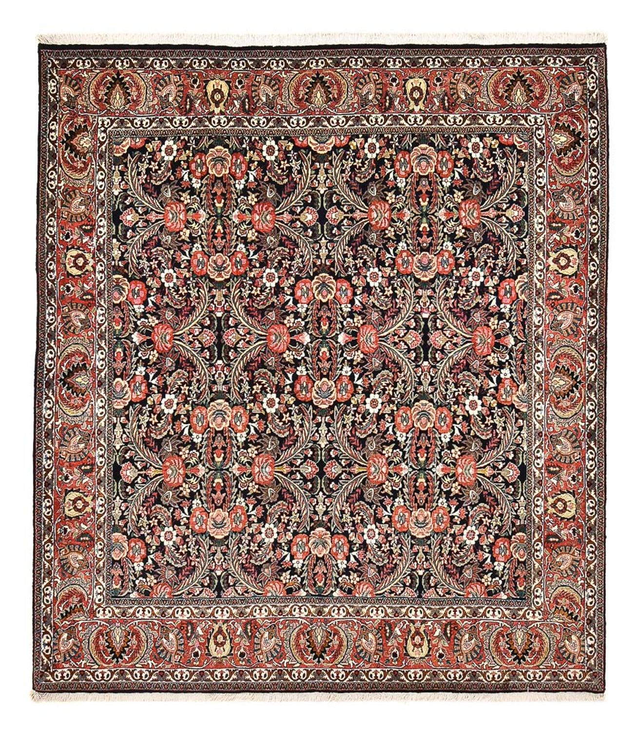 Bidjar Teppich 248x211cm - Perserteppich