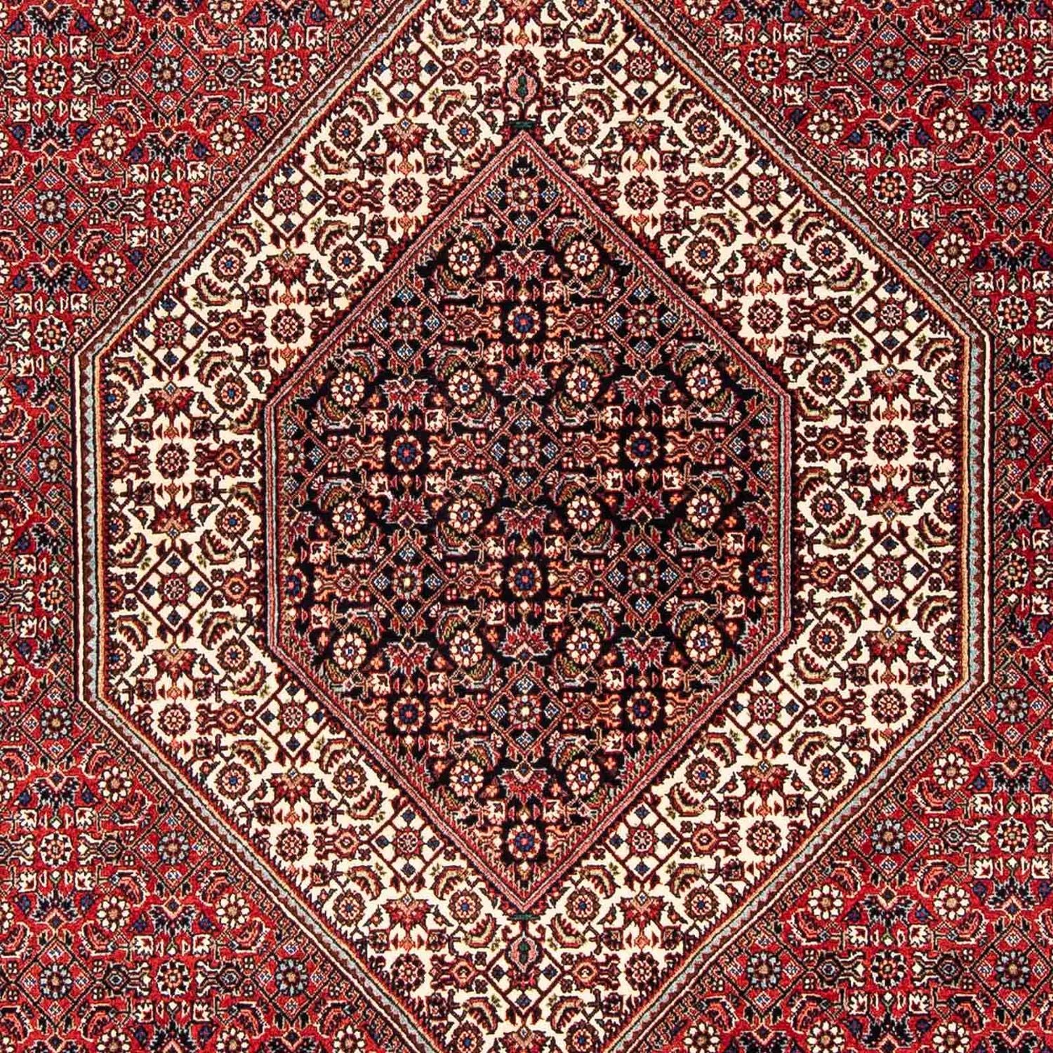 Bidjar Teppich 254x171cm - Perserteppich - Image 2