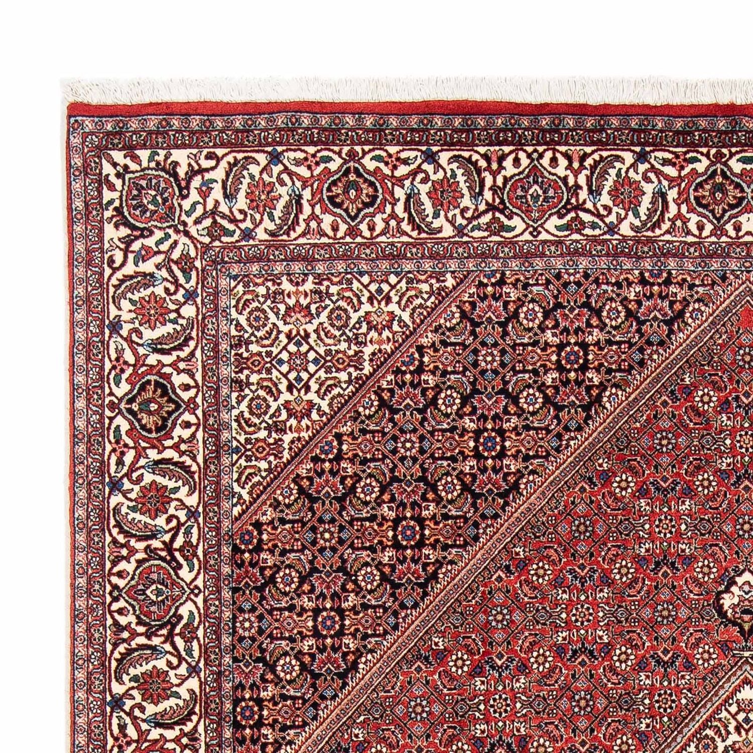 Bidjar Teppich 254x171cm - Perserteppich - Image 3