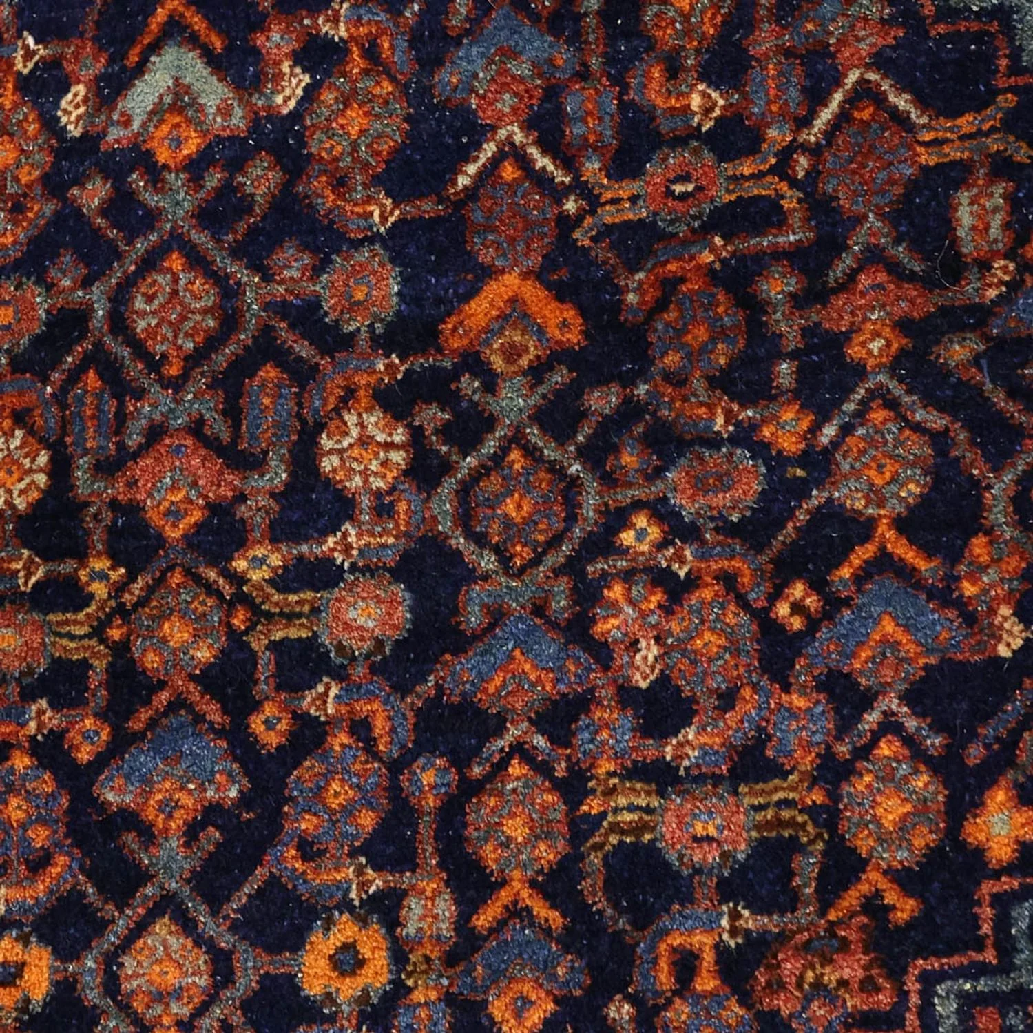 Bidjar Teppich 257x143cm - Perserteppich - Image 2