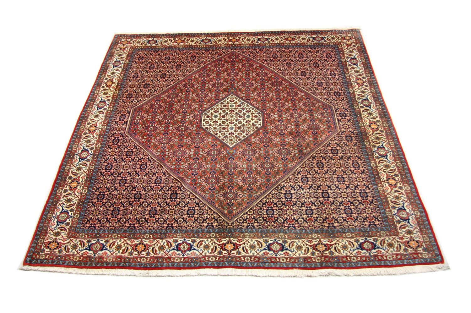 Perserteppich - Bidjar 260 x 247 cm - braun