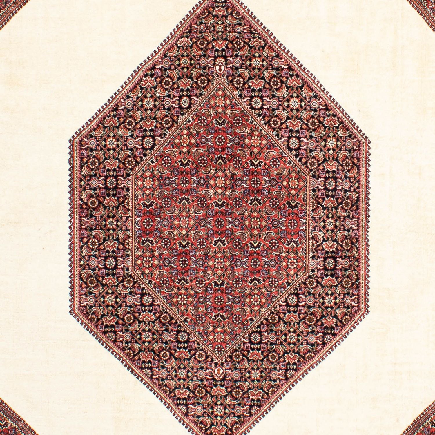 Bidjar Teppich 300x200cm - Perserteppich - Image 2