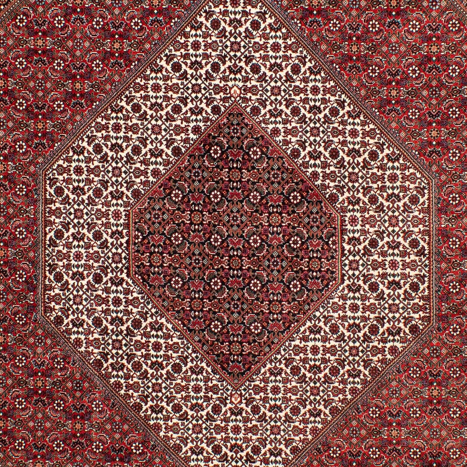 Bidjar Teppich 302x203cm - Perserteppich - Image 2
