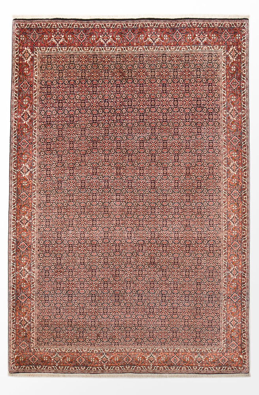 Bidjar Teppich 305x203cm - Perserteppich