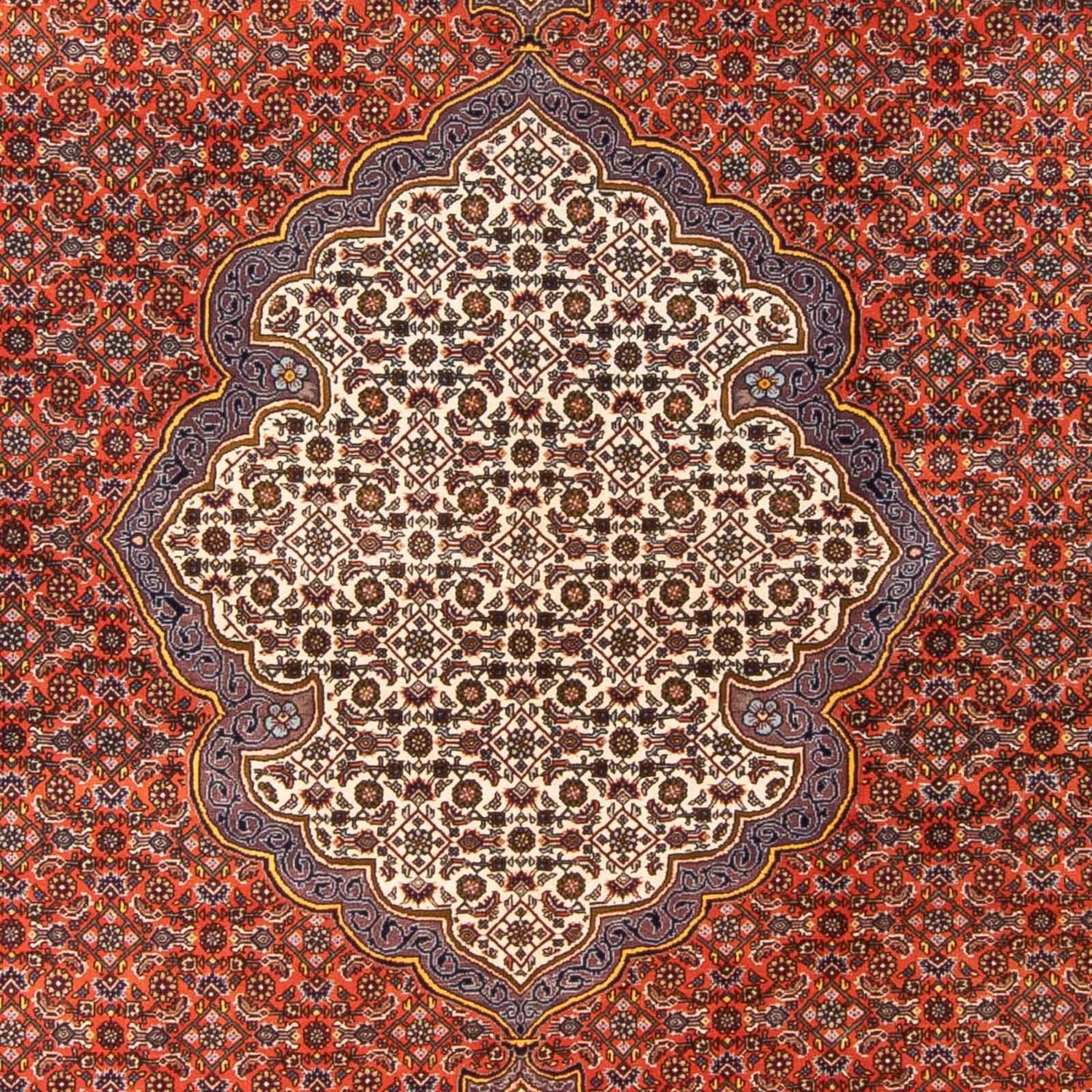 Perserteppich - Bidjar - 312 x 205 cm - orange - Image 2