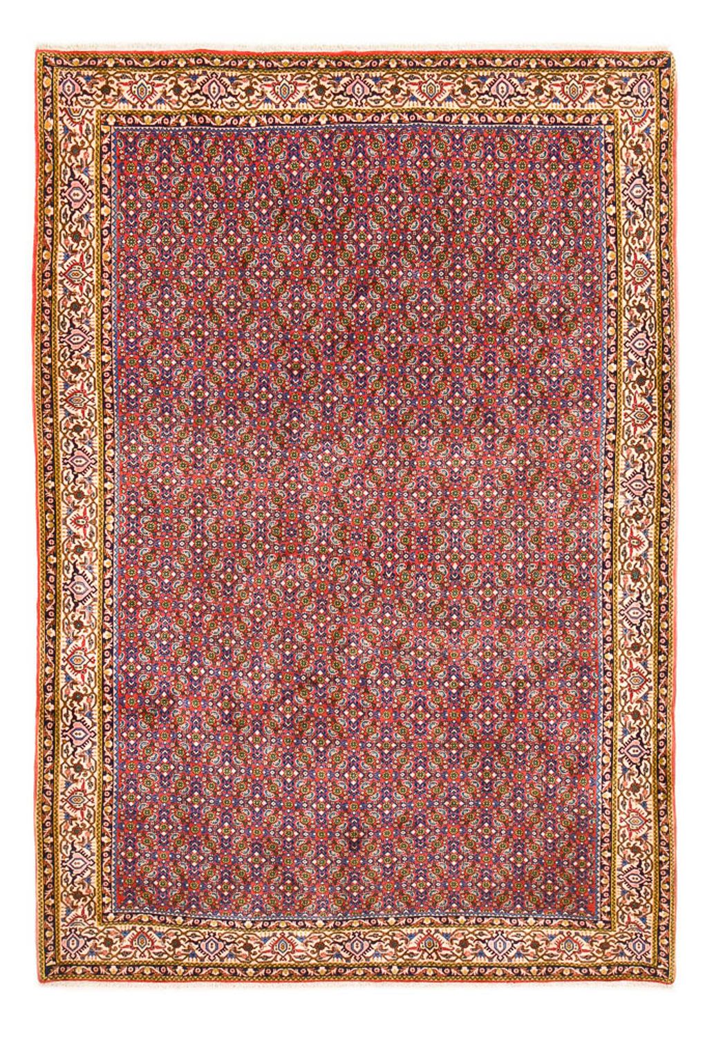 Bidjar Teppich 315x214cm - Perserteppich