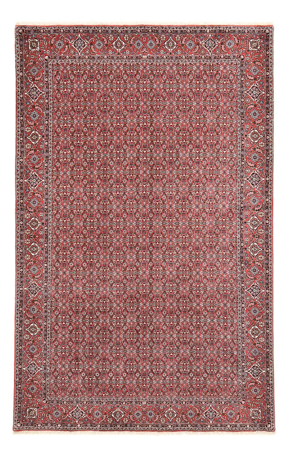 Bidjar Teppich 347x221cm - Perserteppich