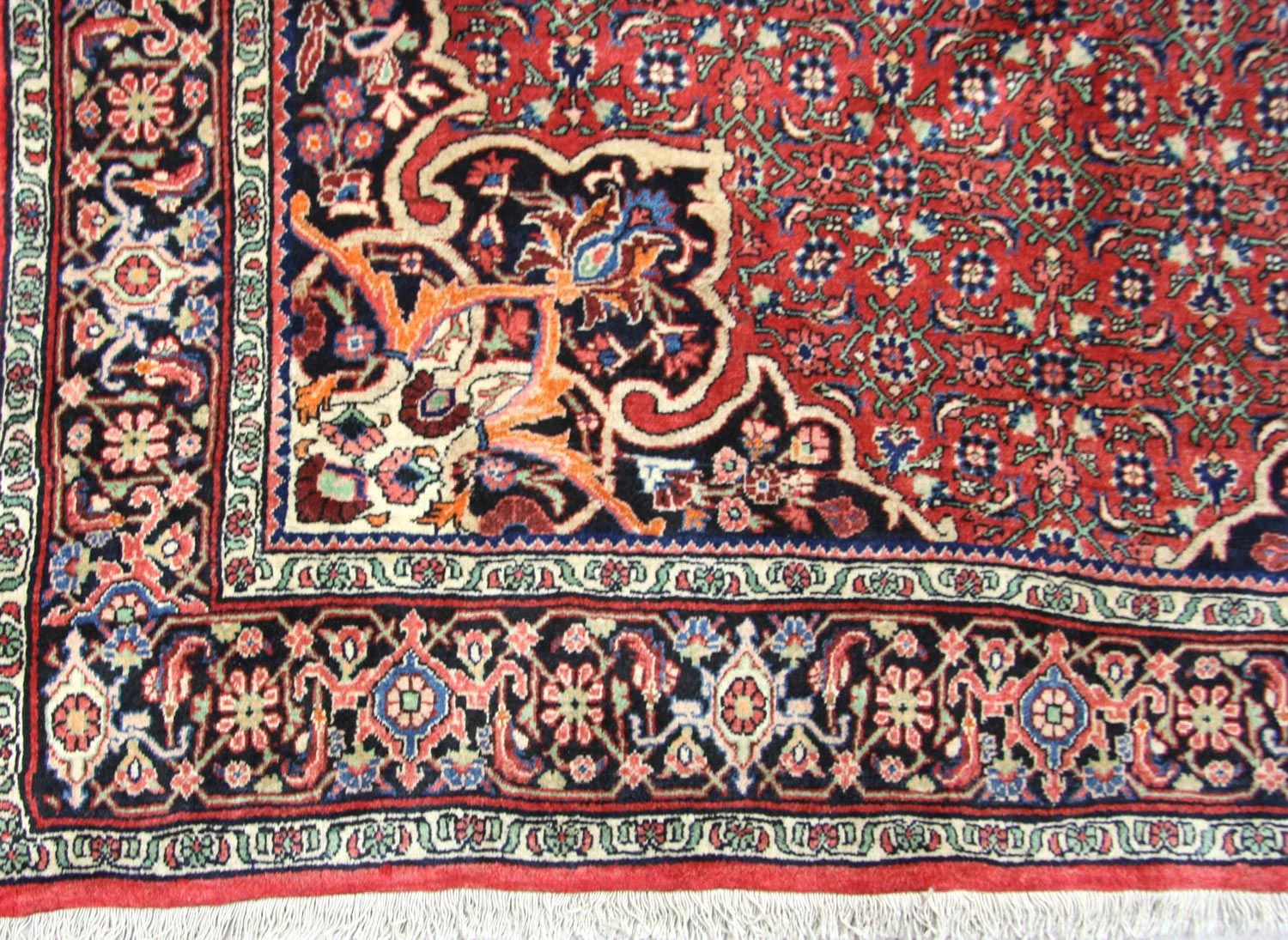 Perserteppich - Bidjar 350 x 170 cm - rot - Image 3