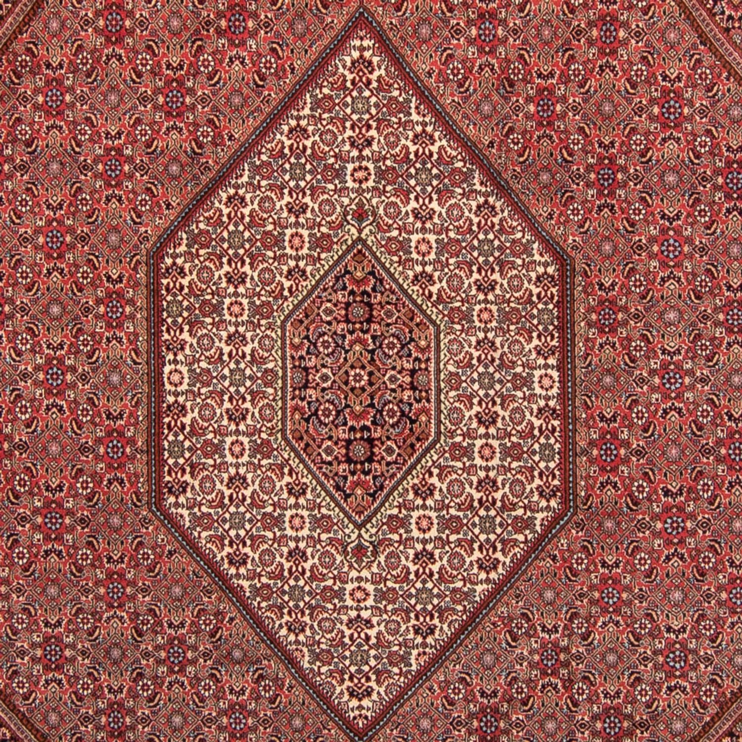 Bidjar Teppich 350x248cm - Perserteppich - Image 2