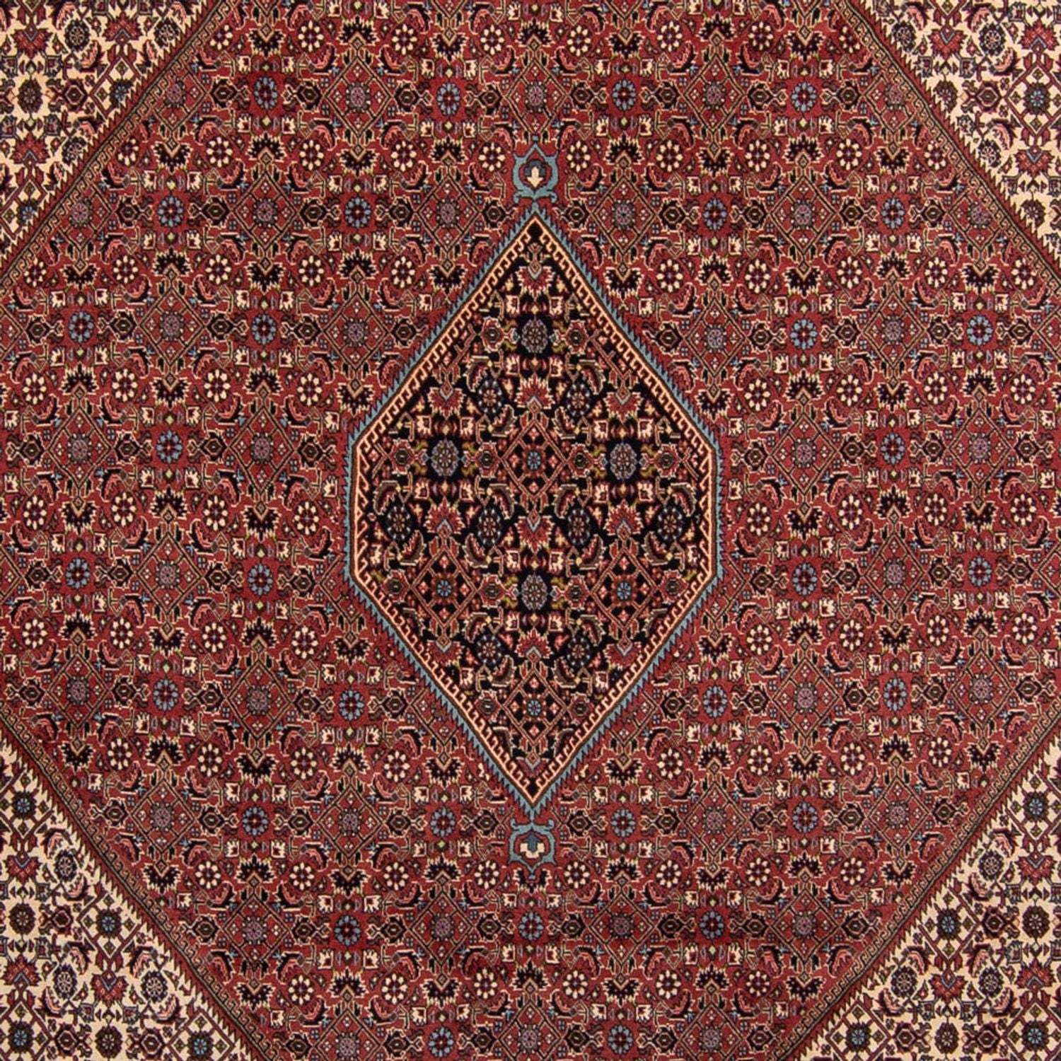 Bidjar Teppich 350x248cm - Perserteppich - Image 2