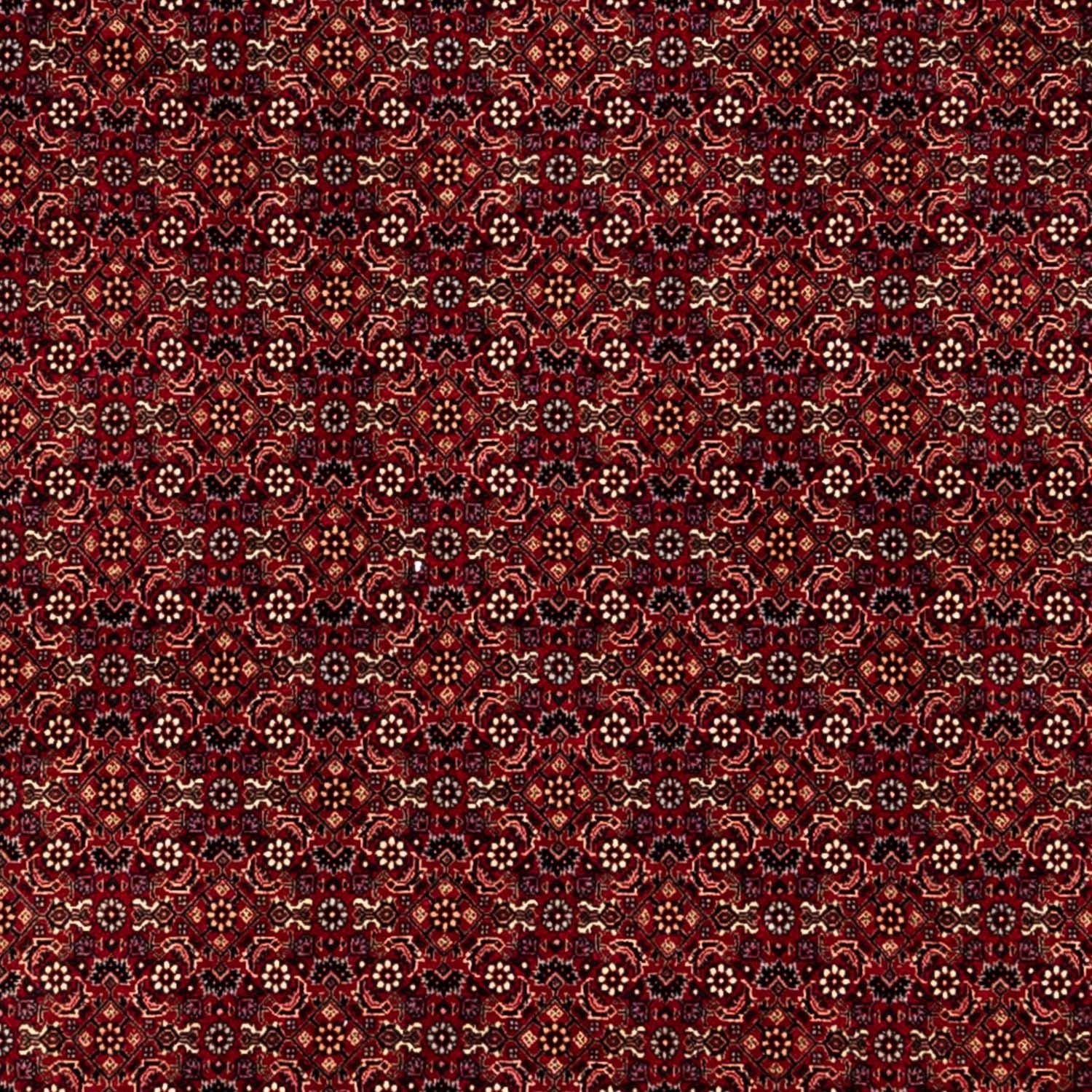 Perserteppich - Bidjar 350 x 250 cm - rot - Image 2