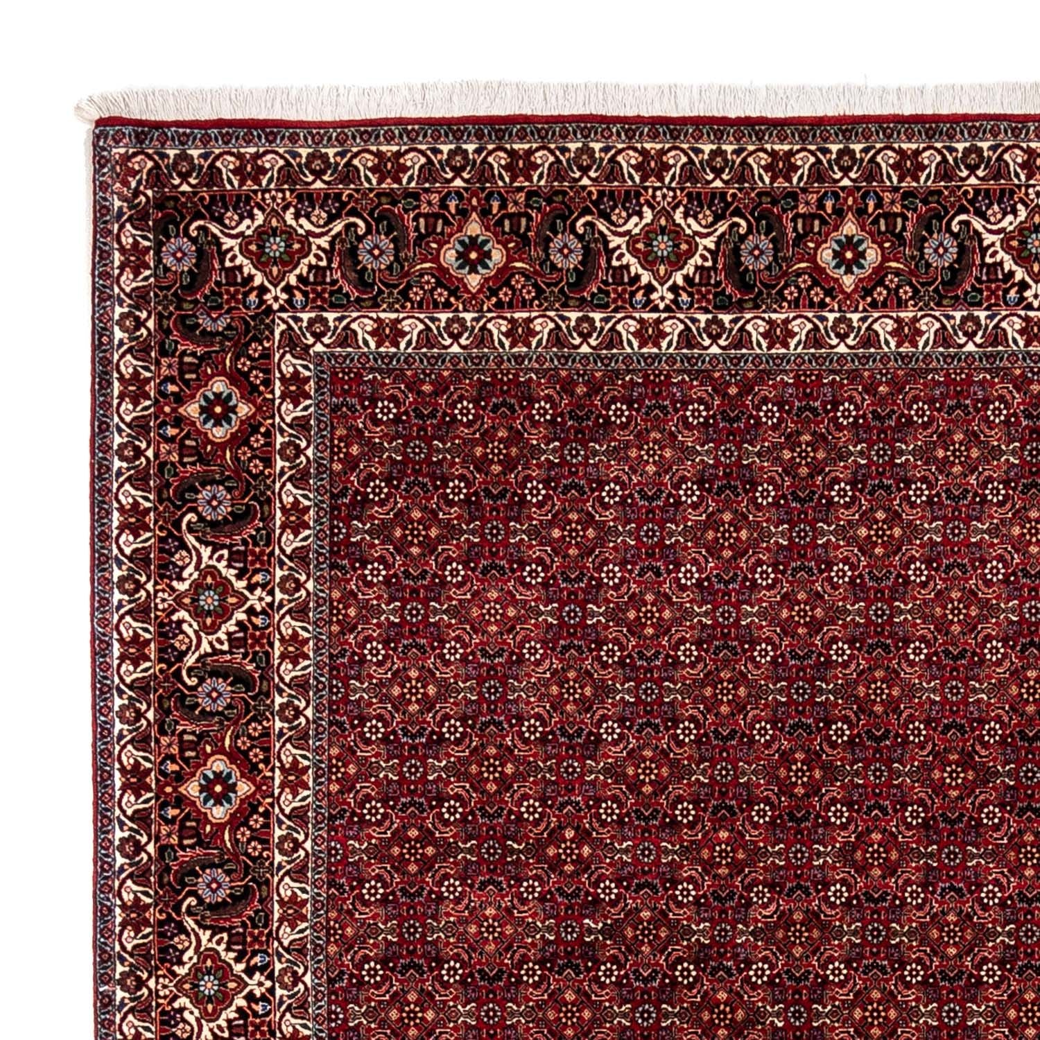 Perserteppich - Bidjar 350 x 250 cm - rot - Image 3