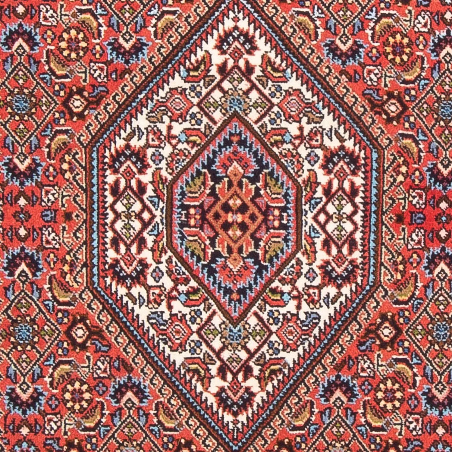 Bidjar - Bukan Teppich  - Perserteppich - Image 2