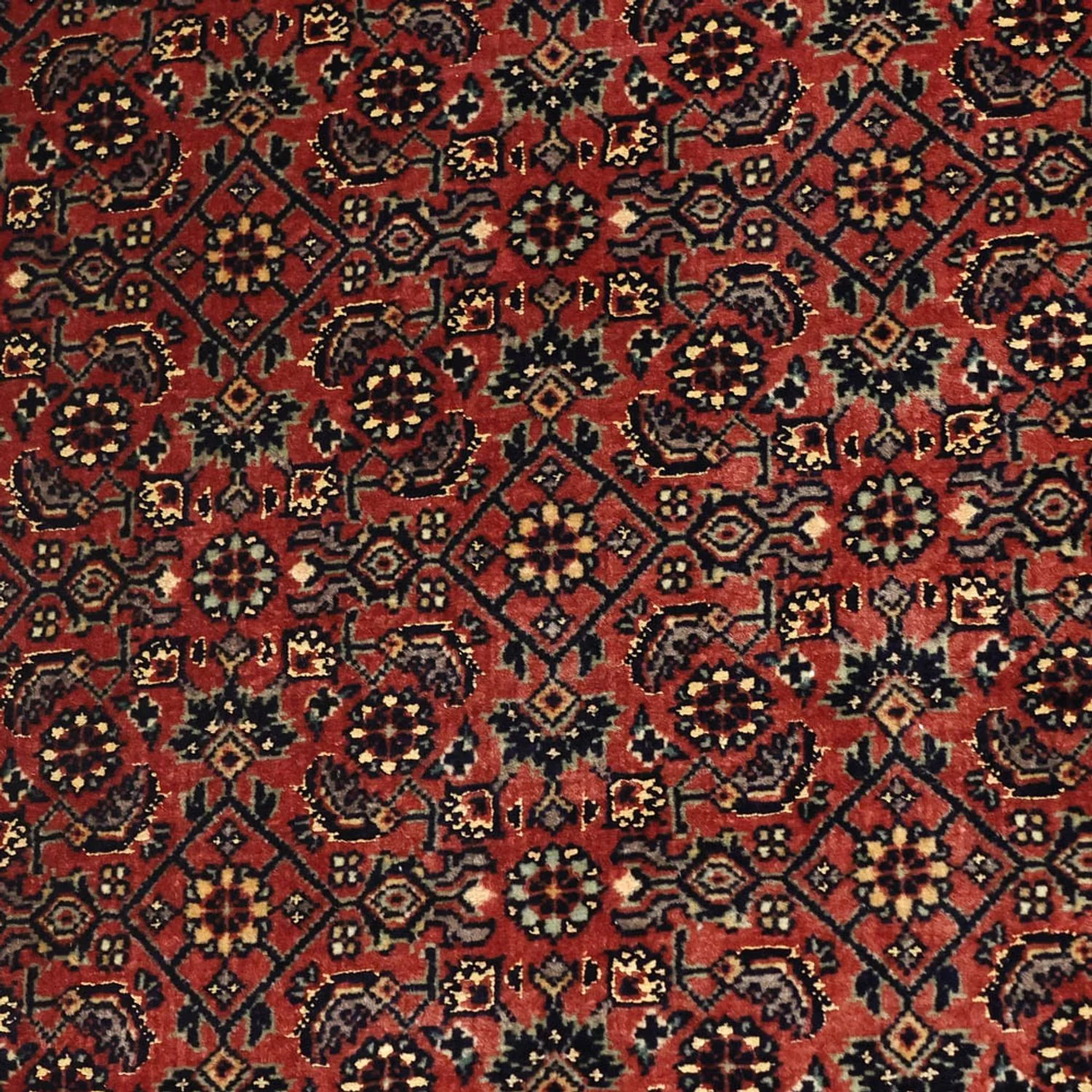 Bidjar Teppich 148x89cm - Perserteppich - Image 2