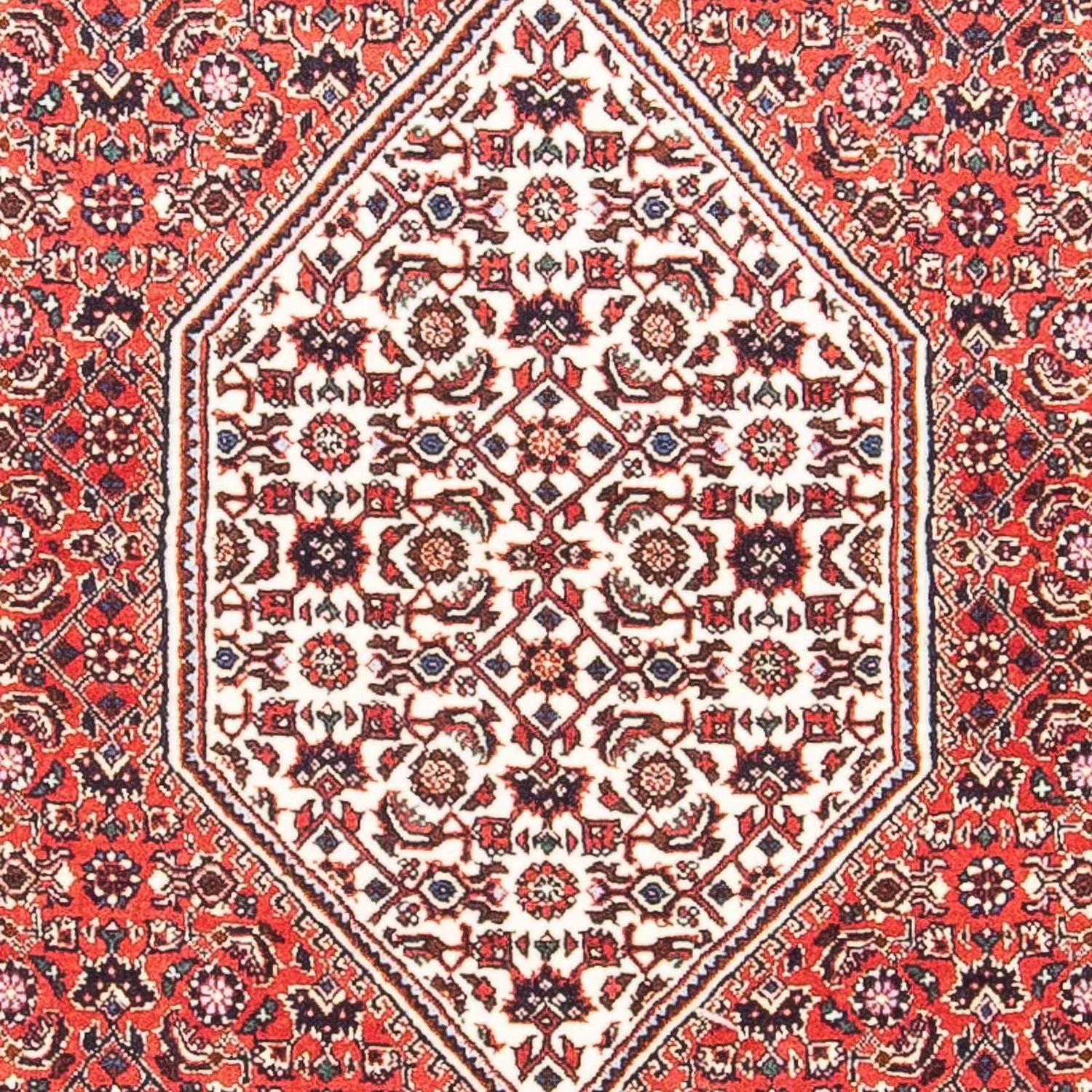 Bidjar Teppich 151x86cm - Perserteppich - Image 2