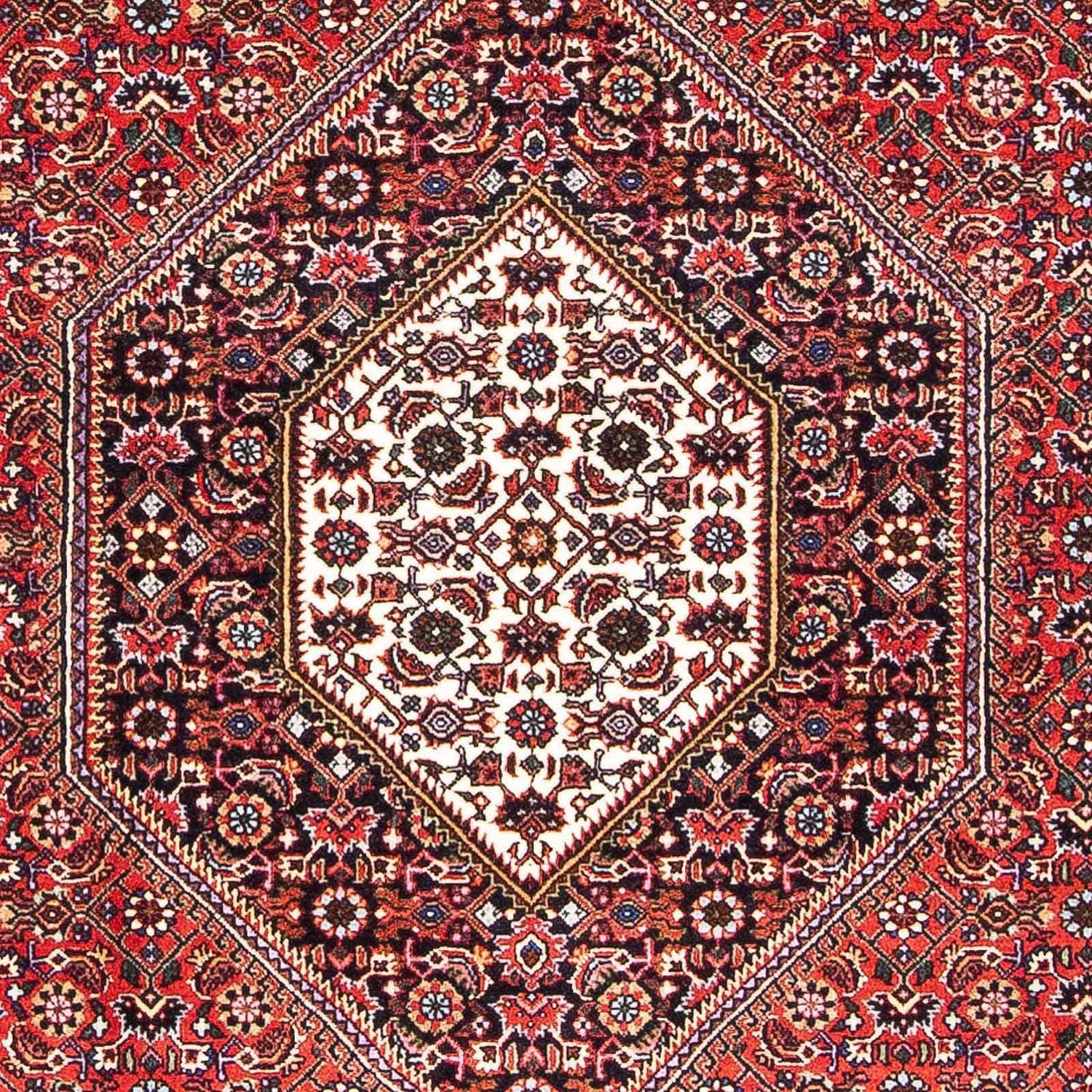 Perserteppich - Bidjar - Royal 170 x 109 cm Teppichbrücke - Image 2