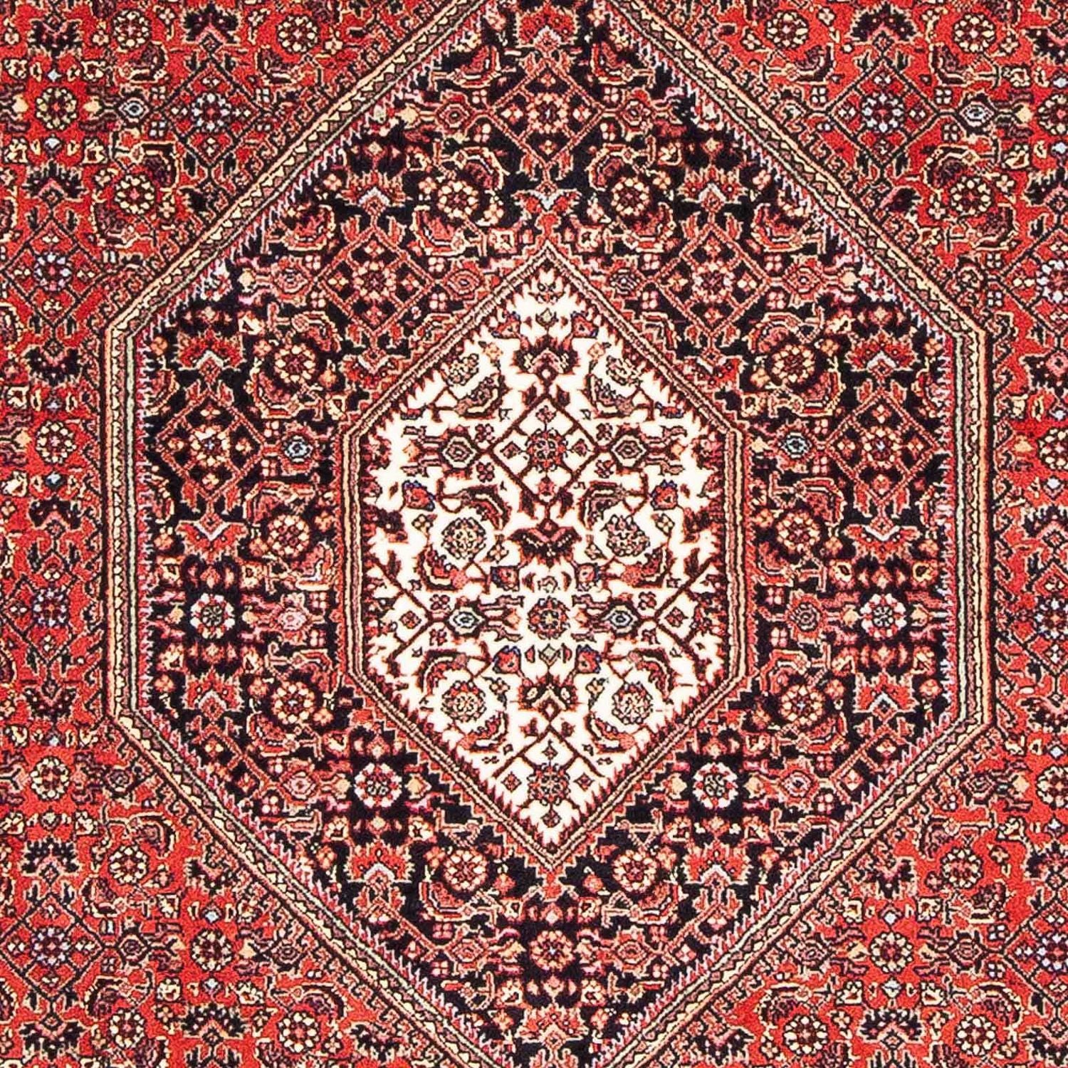 Bidjar Teppich 170x110cm - Perserteppich - Image 2