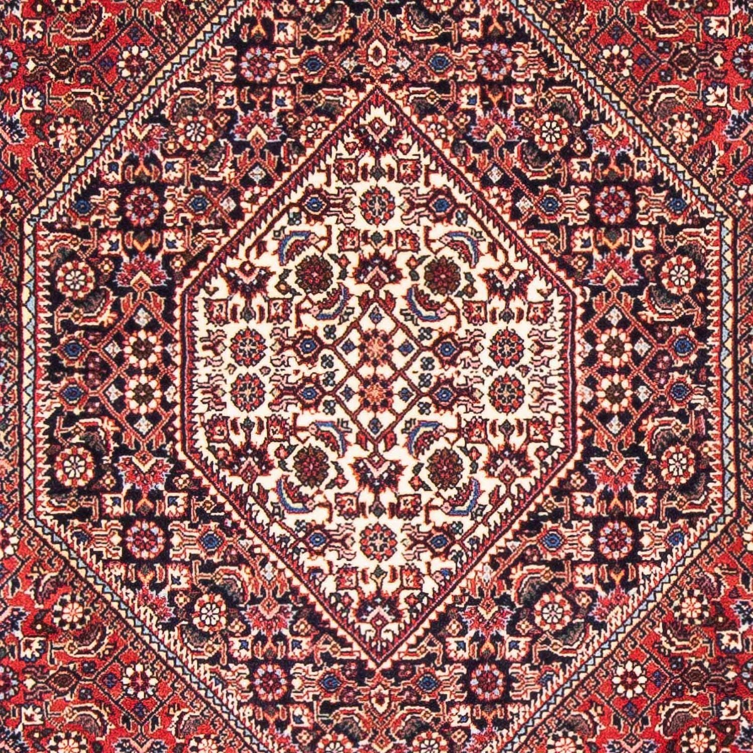 Bidjar Teppich 170x110cm - Perserteppich - Image 2